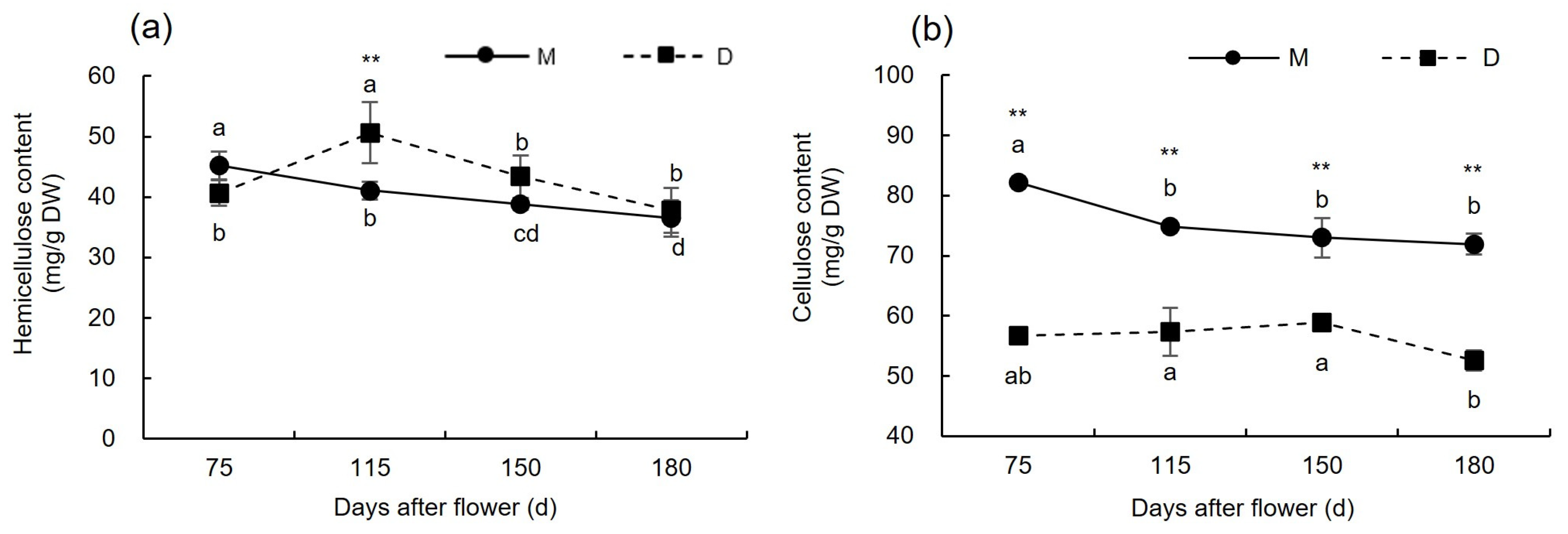 Plants 13 00257 g004