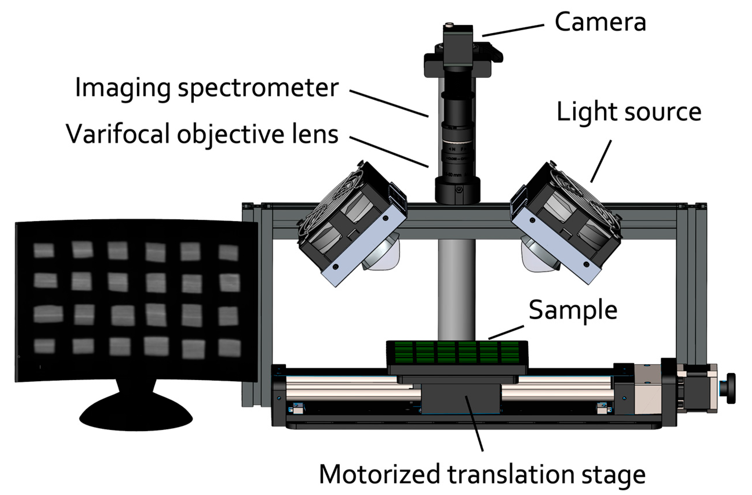 Plants 13 00259 g003