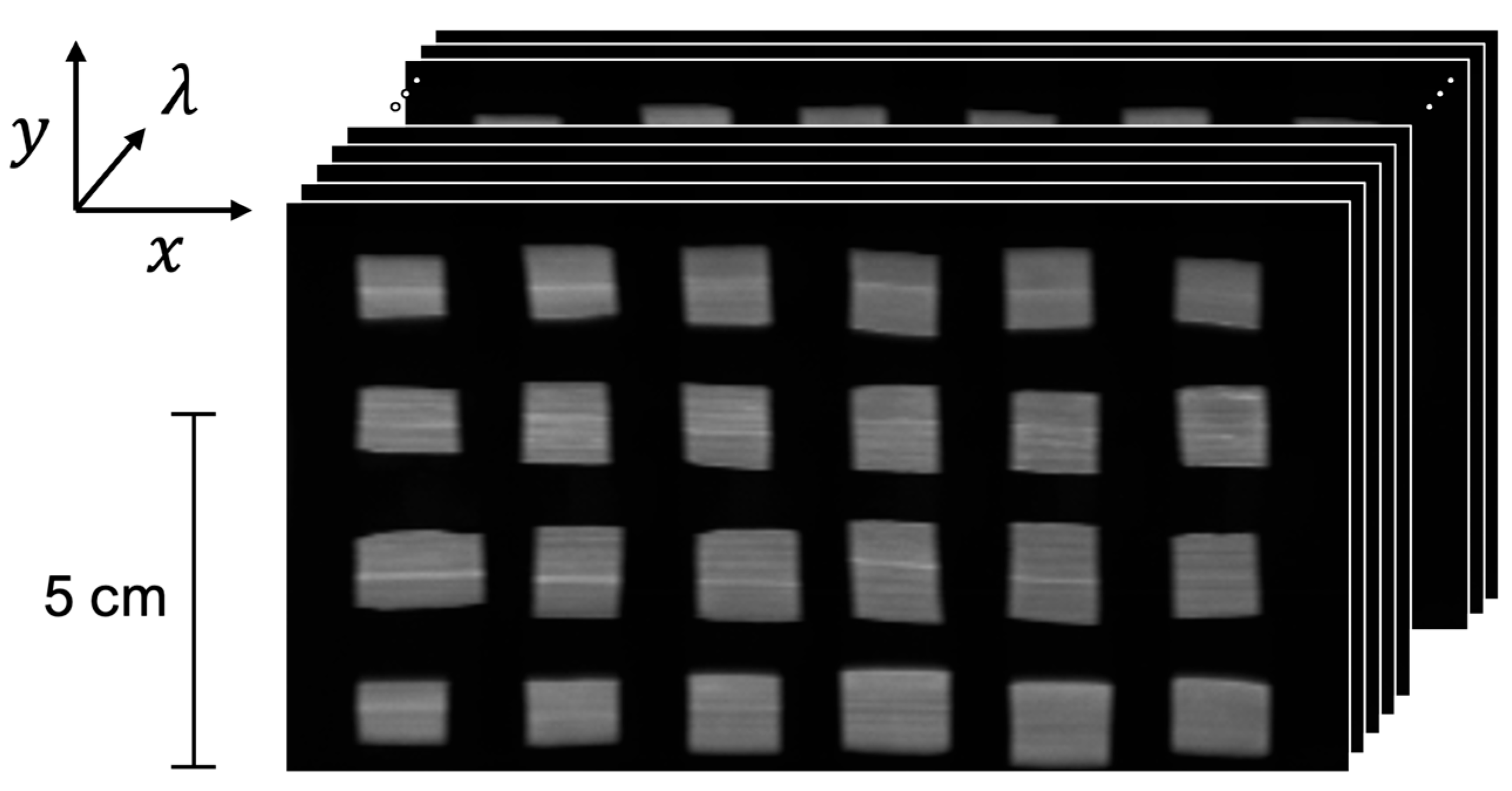 Plants 13 00259 g004