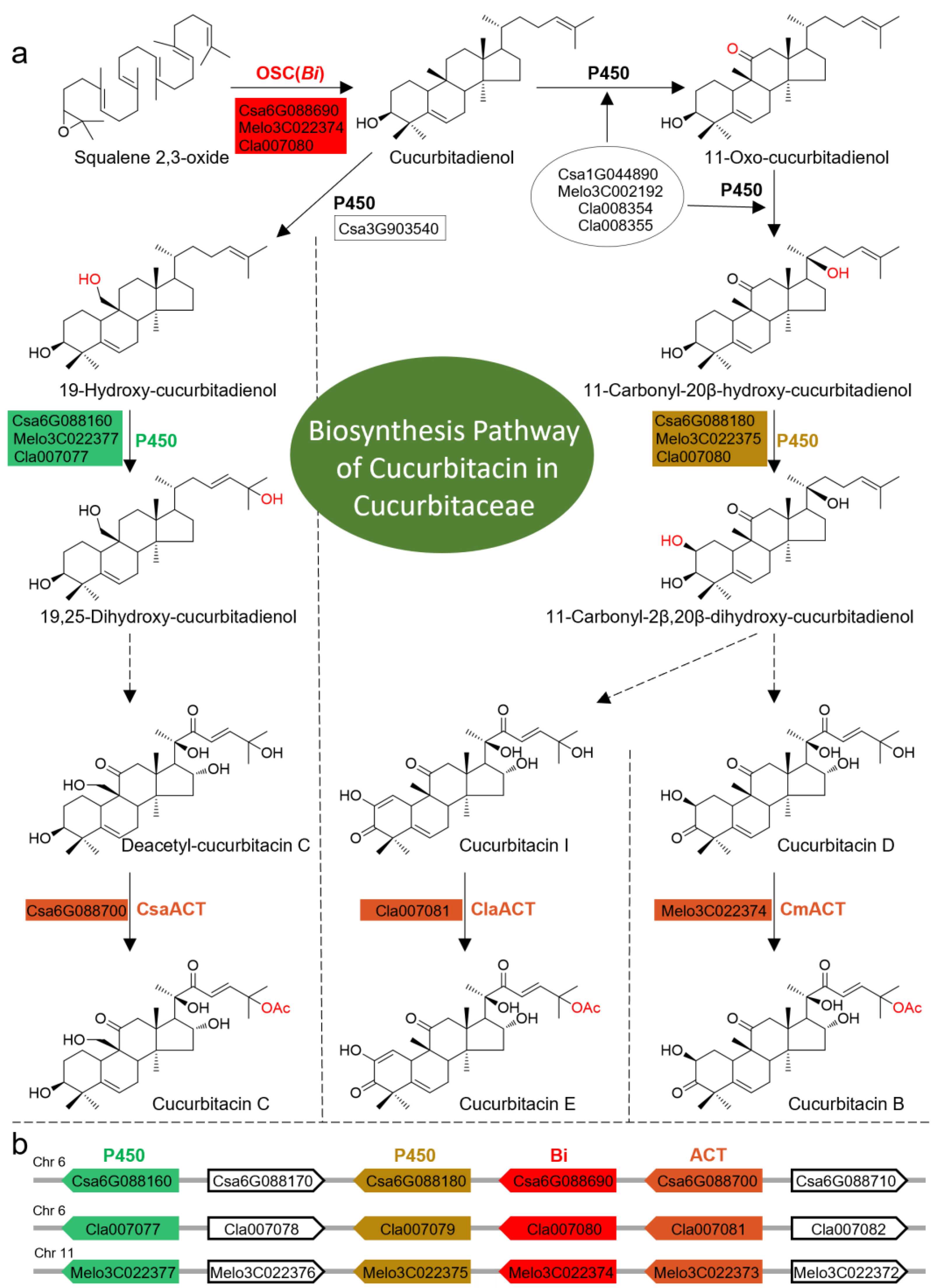 Plants 13 00260 g001