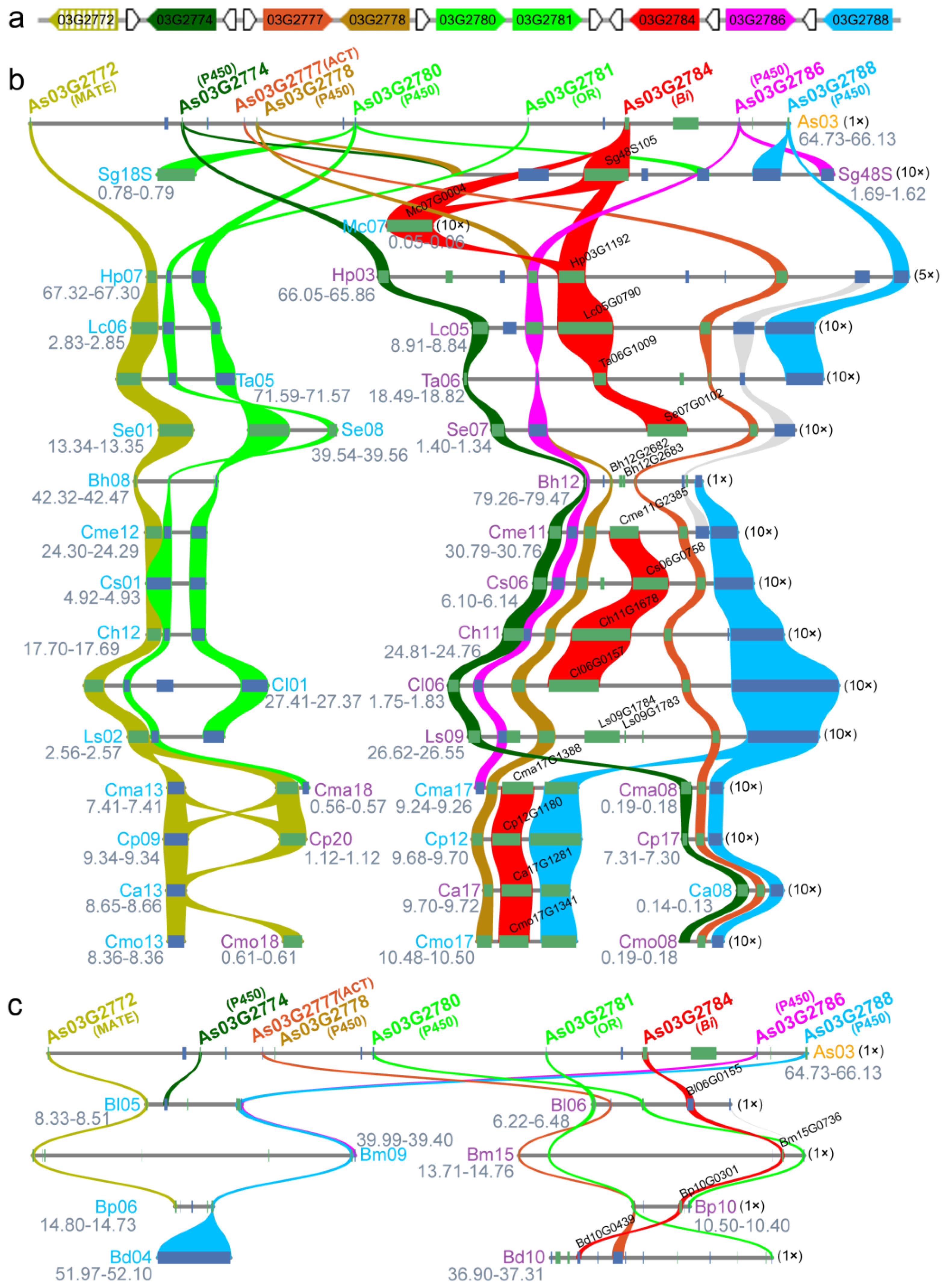 Plants 13 00260 g003