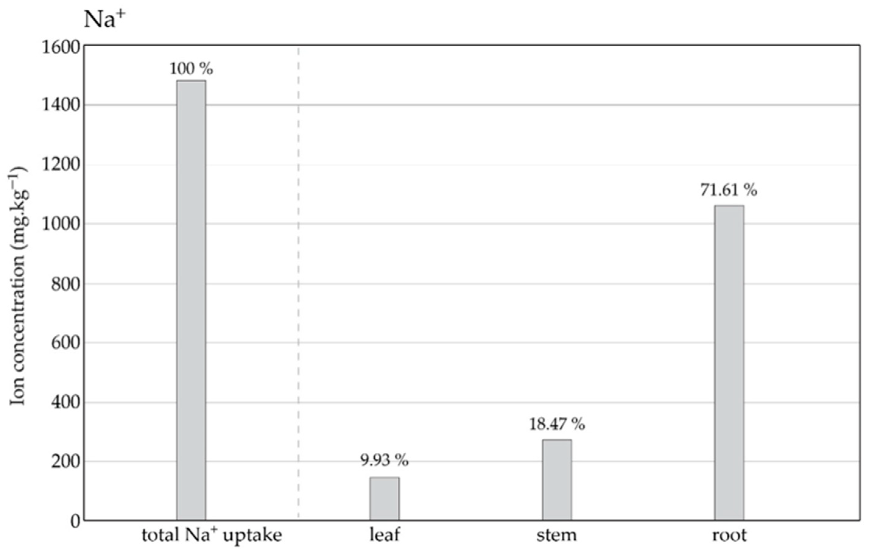 Plants 13 00261 g002