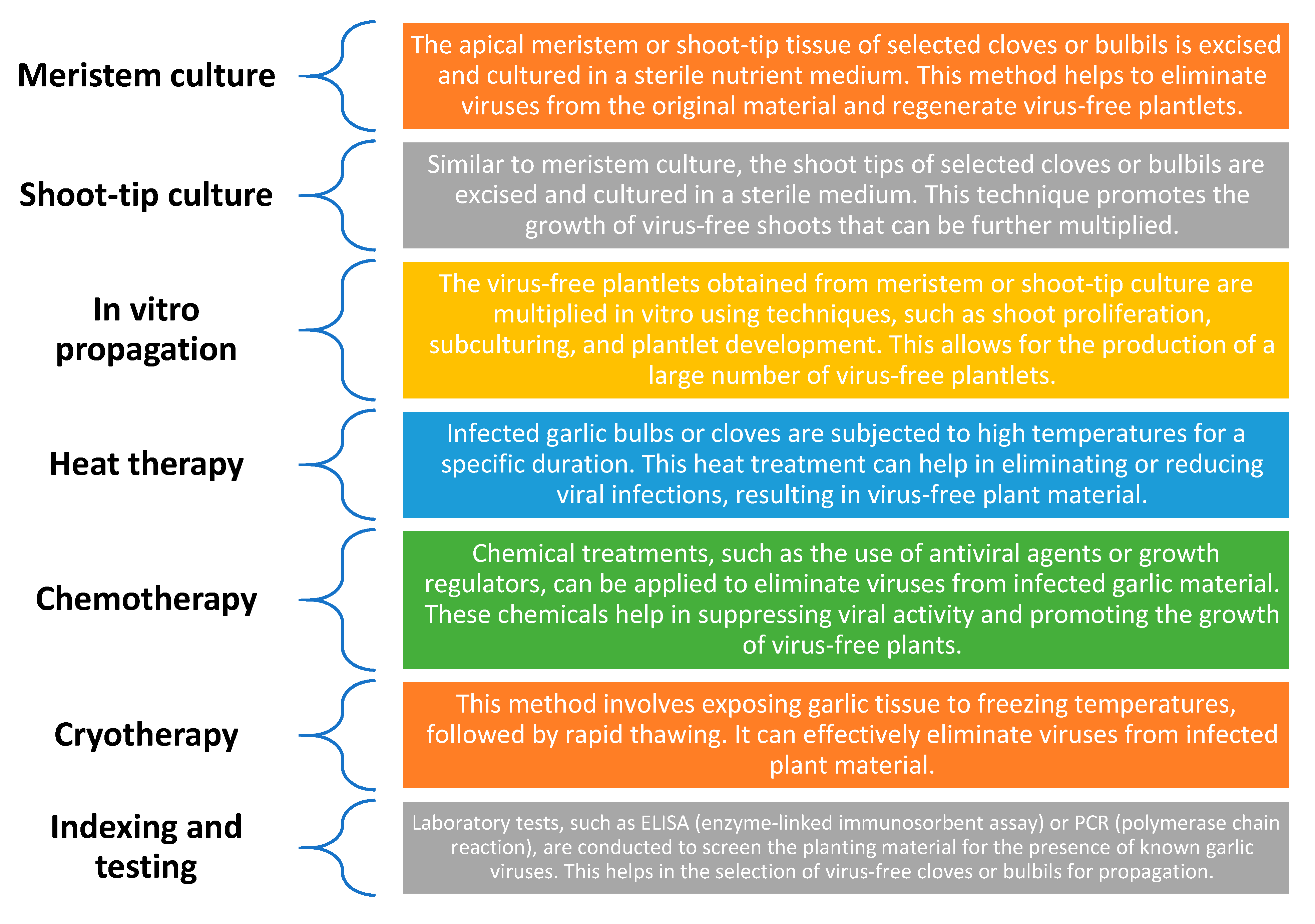 Plants 13 00267 g003