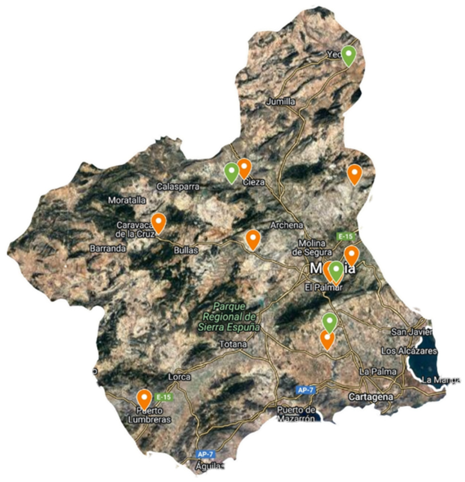 Plants 13 00269 g004