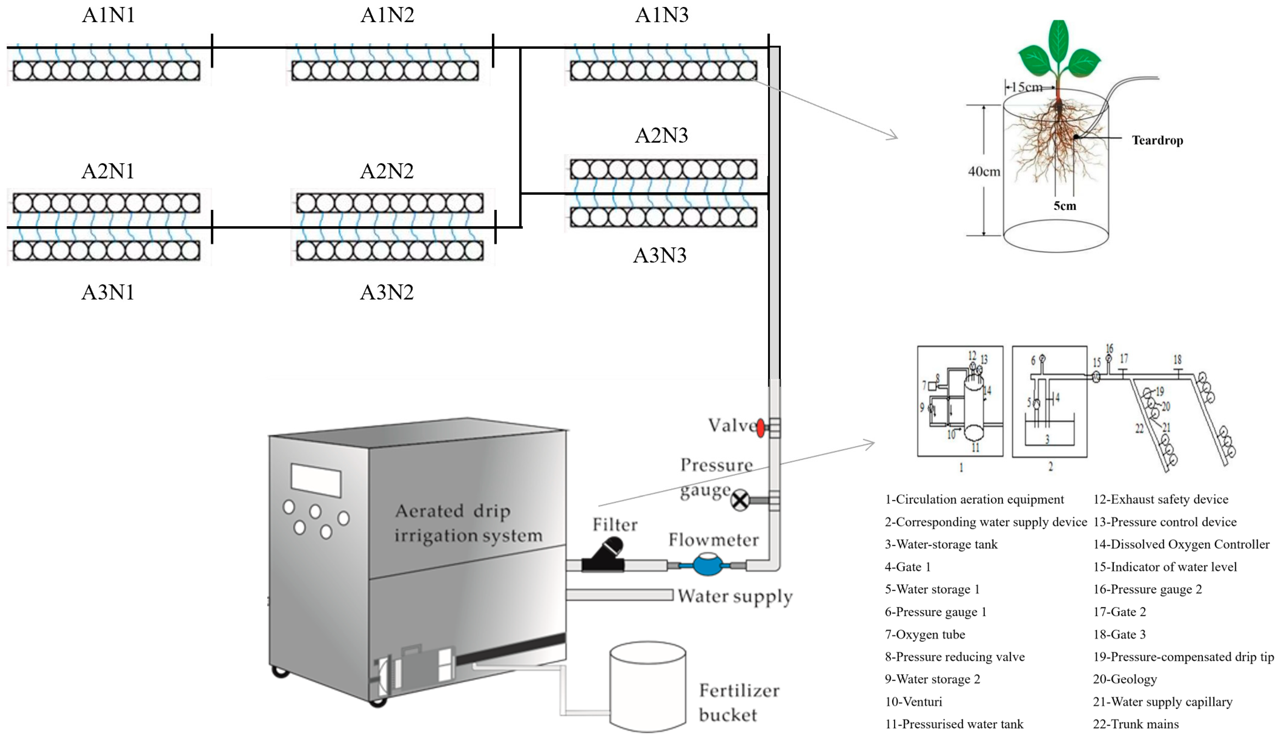 Plants 13 00270 g007