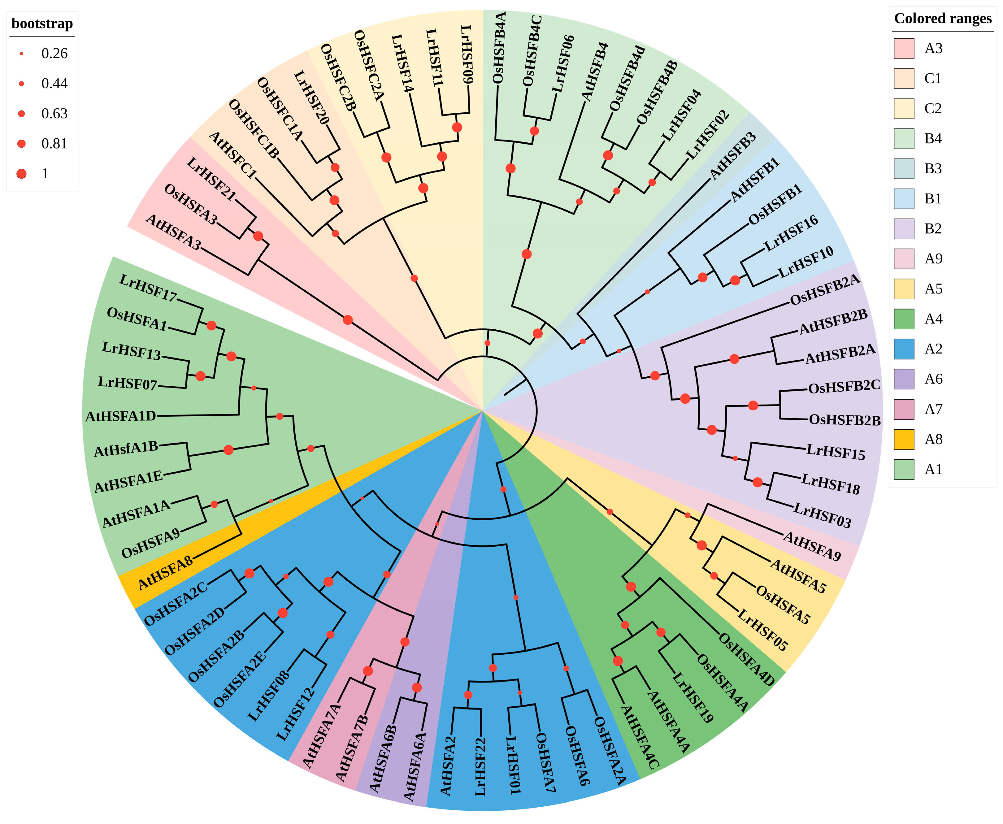 Plants 13 00271 g001