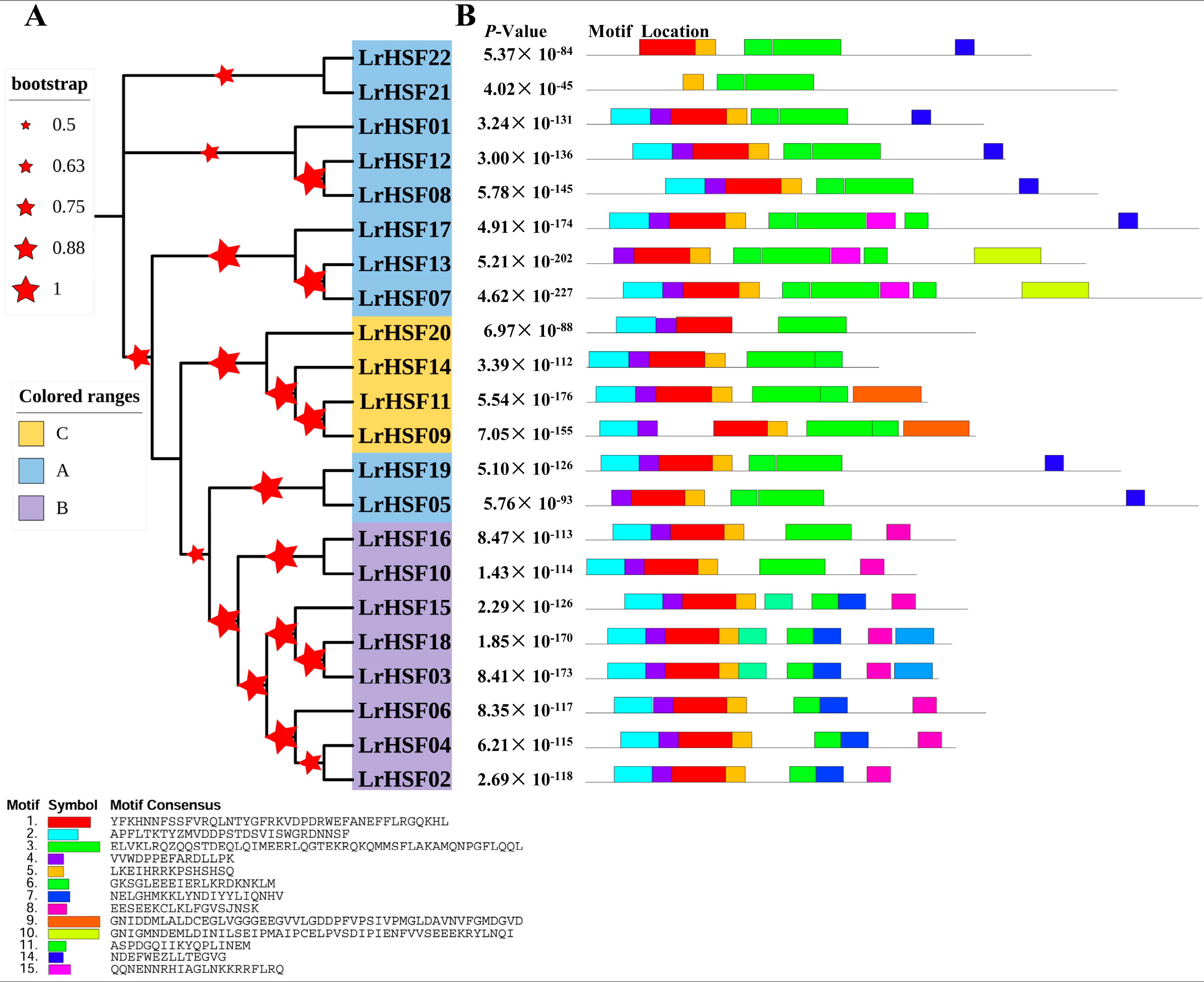 Plants 13 00271 g002