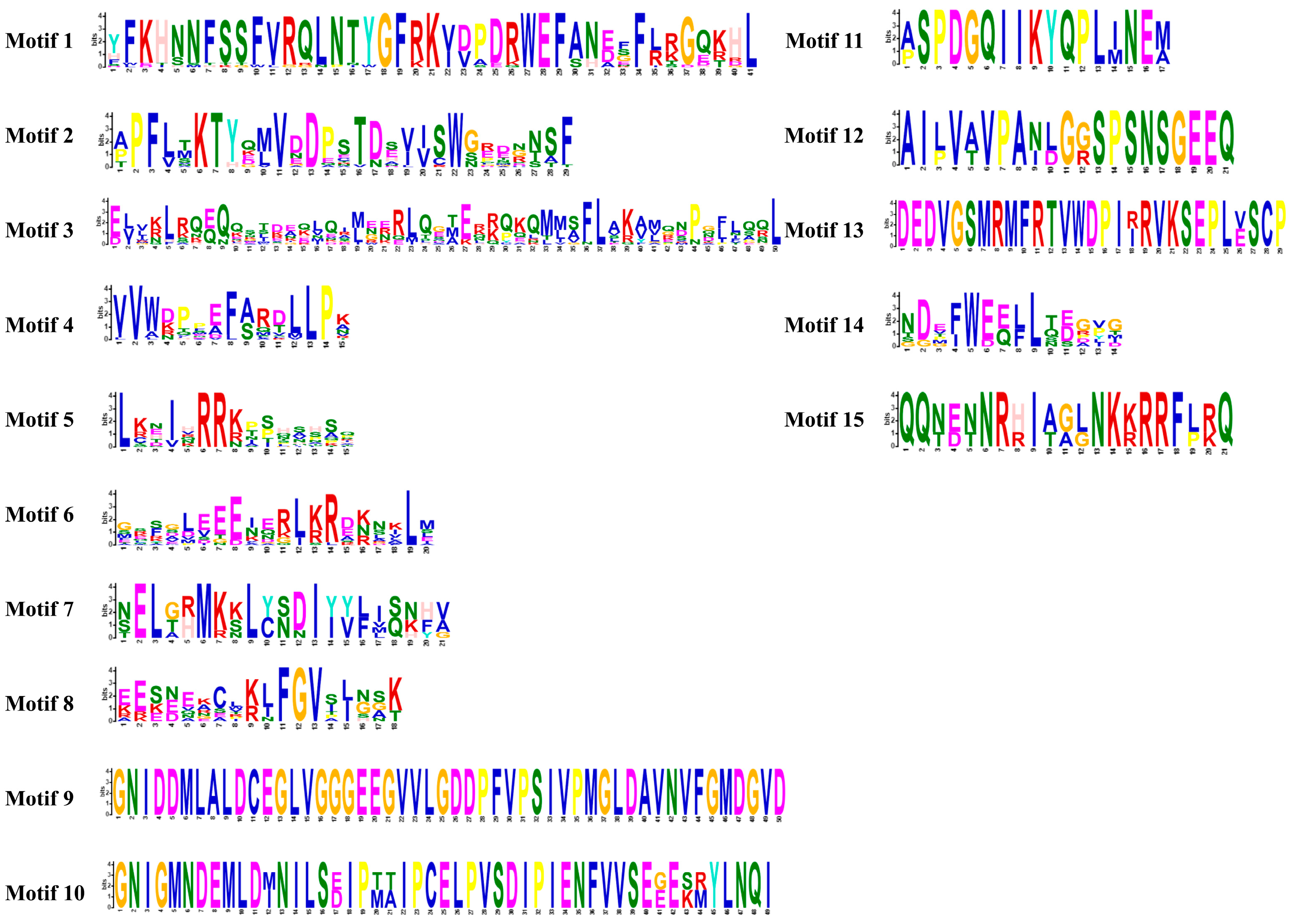 Plants 13 00271 g003