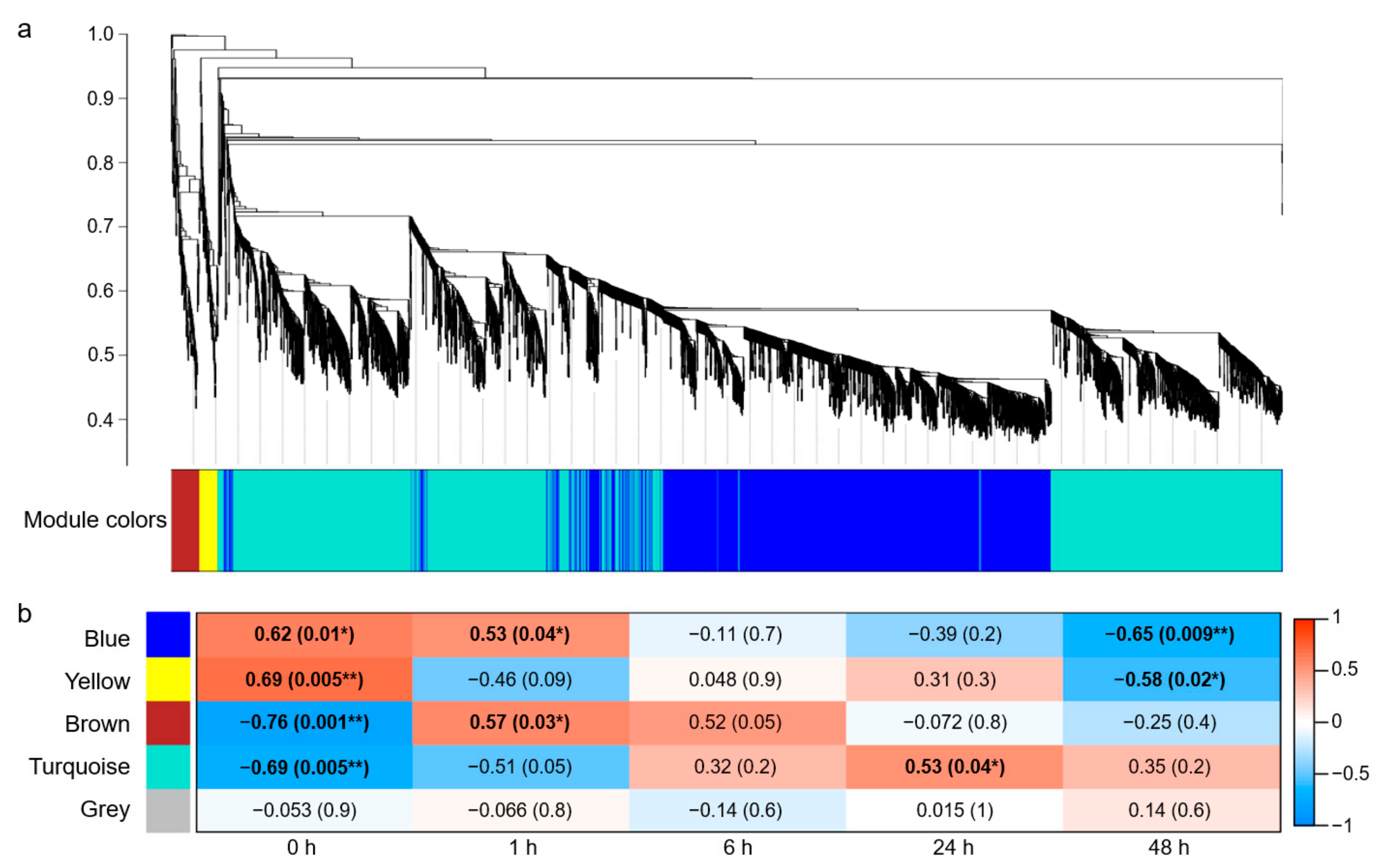 Plants 13 00274 g002