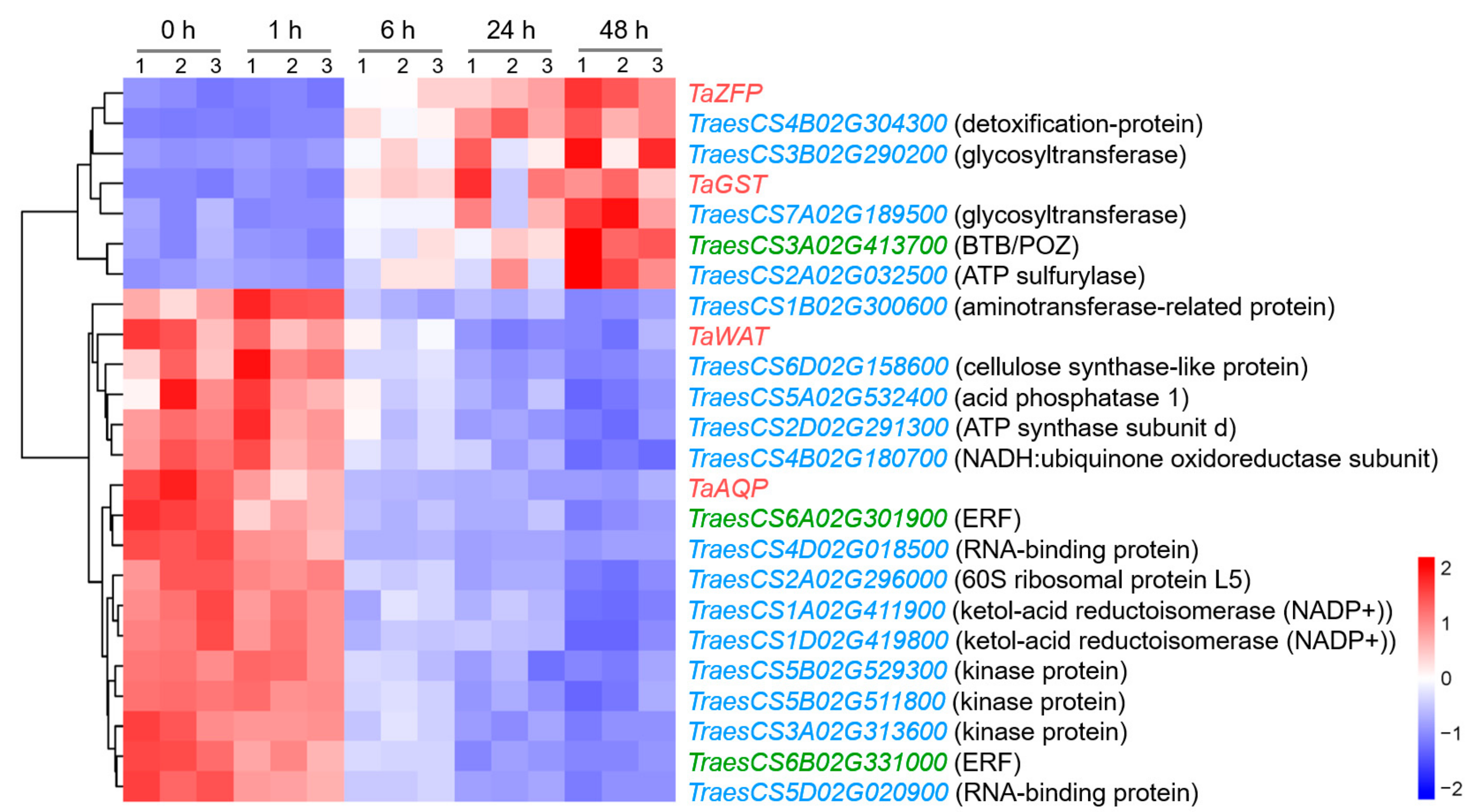 Plants 13 00274 g007