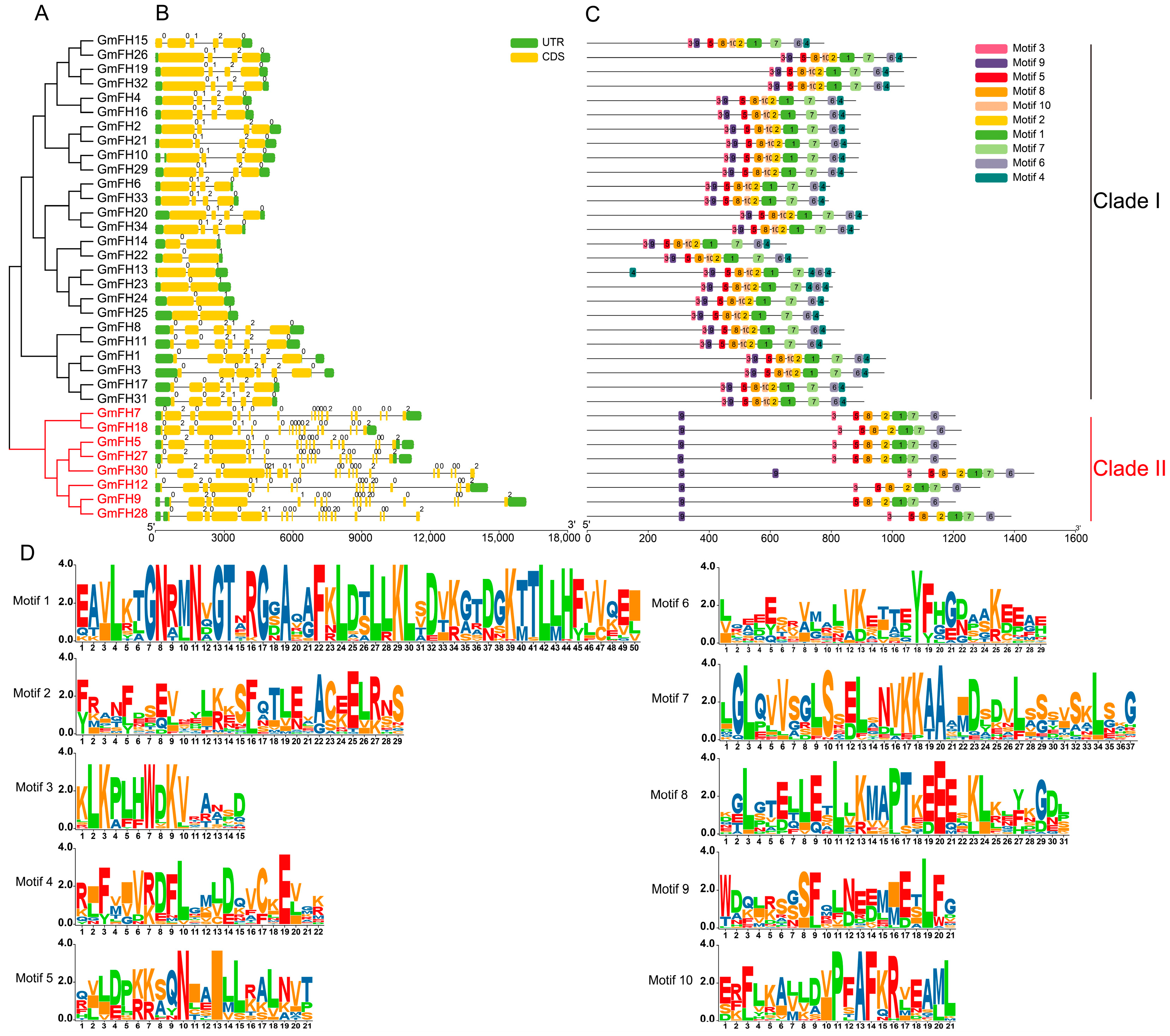 Plants 13 00276 g002
