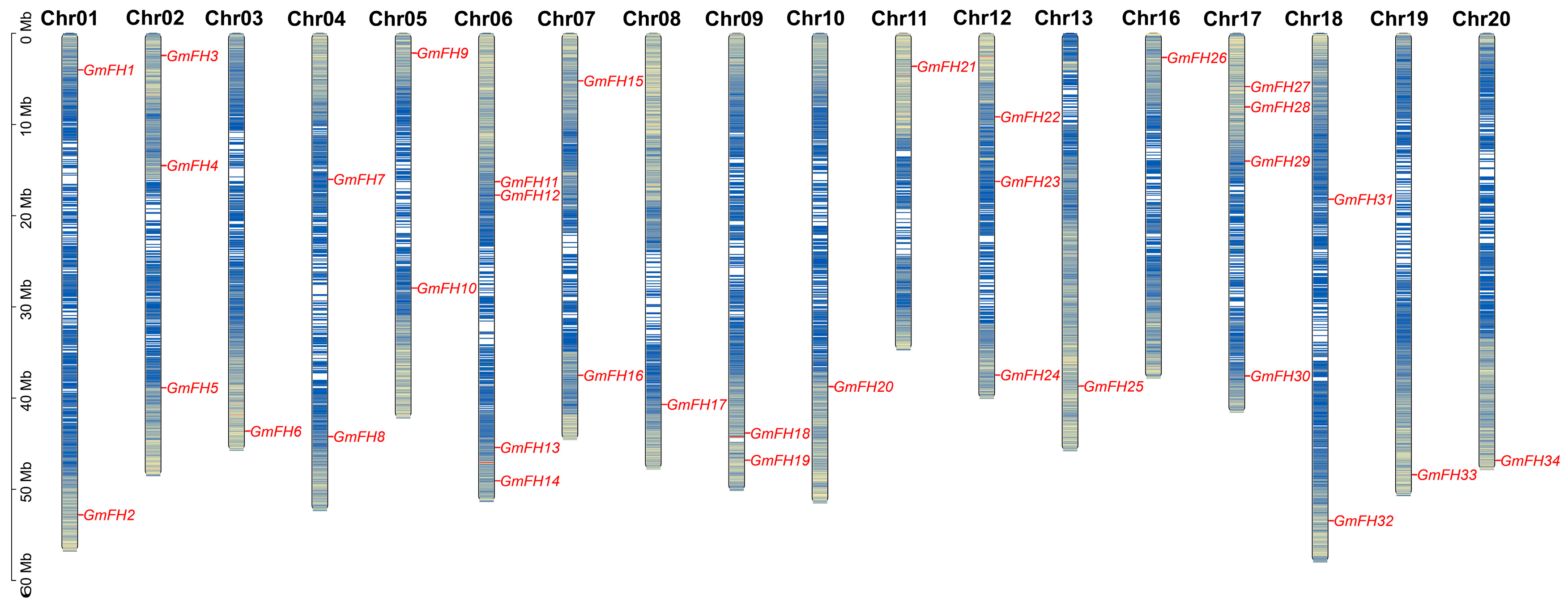 Plants 13 00276 g003