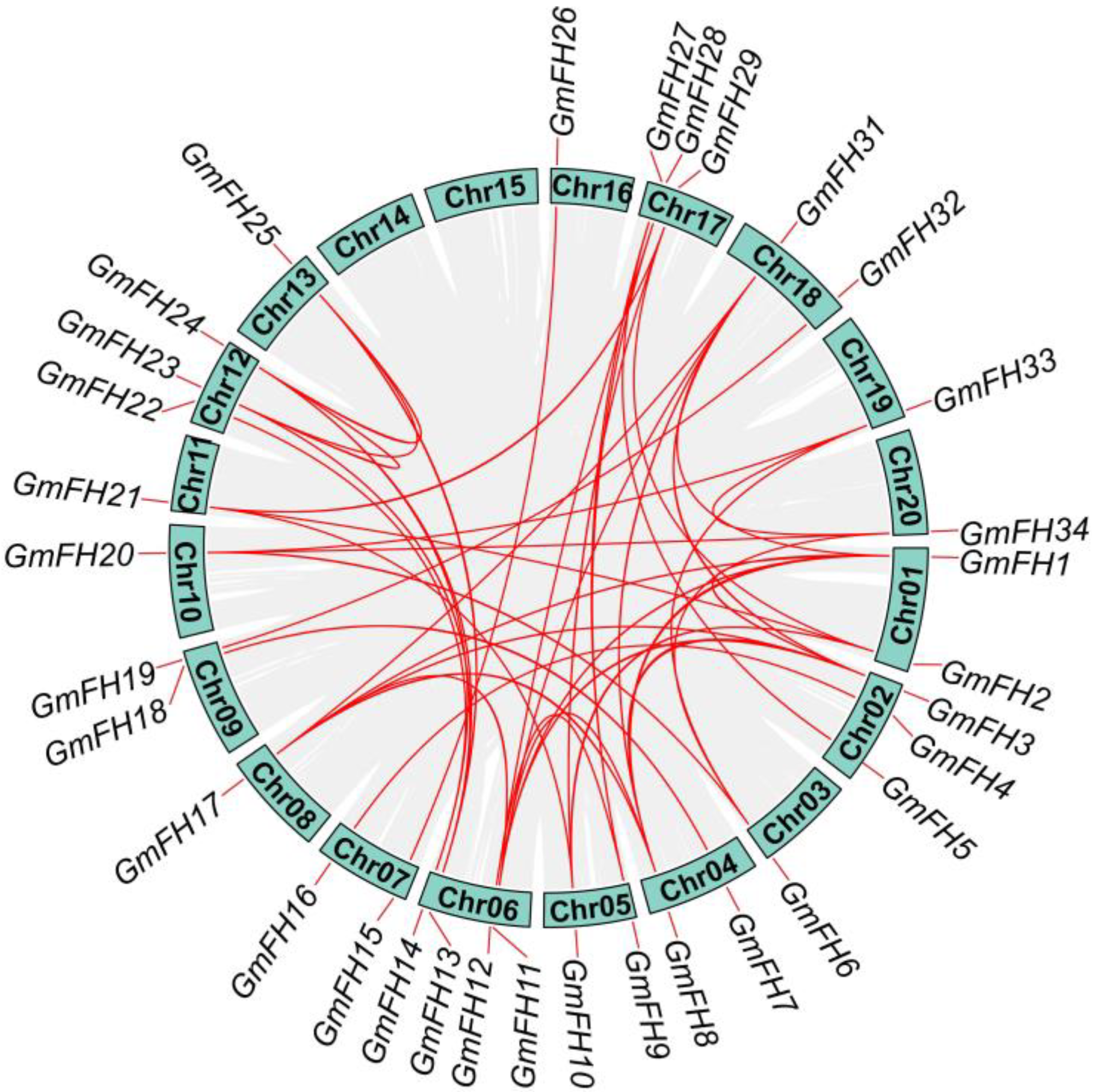 Plants 13 00276 g004