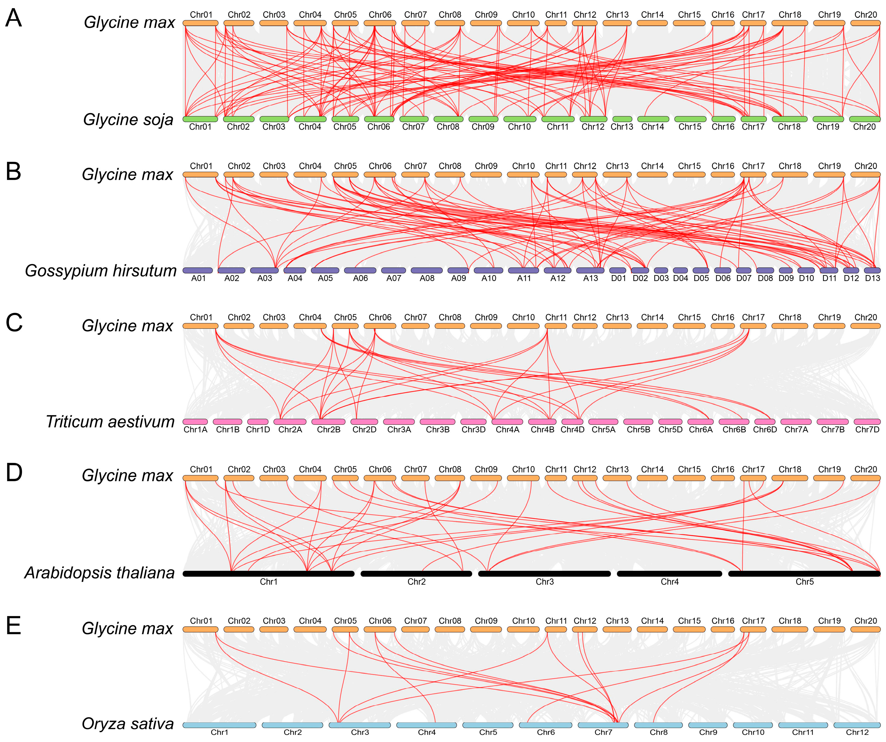 Plants 13 00276 g005