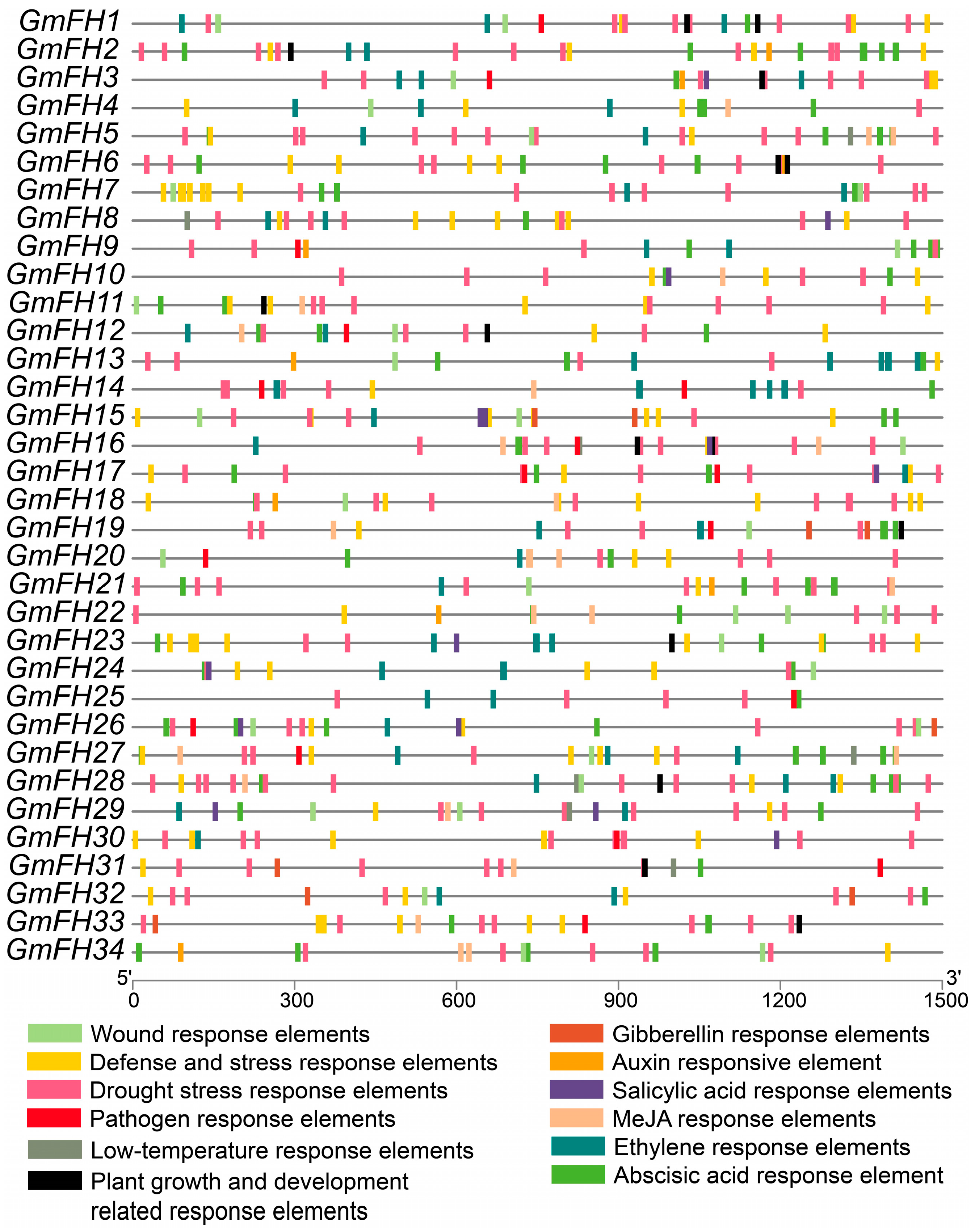 Plants 13 00276 g006