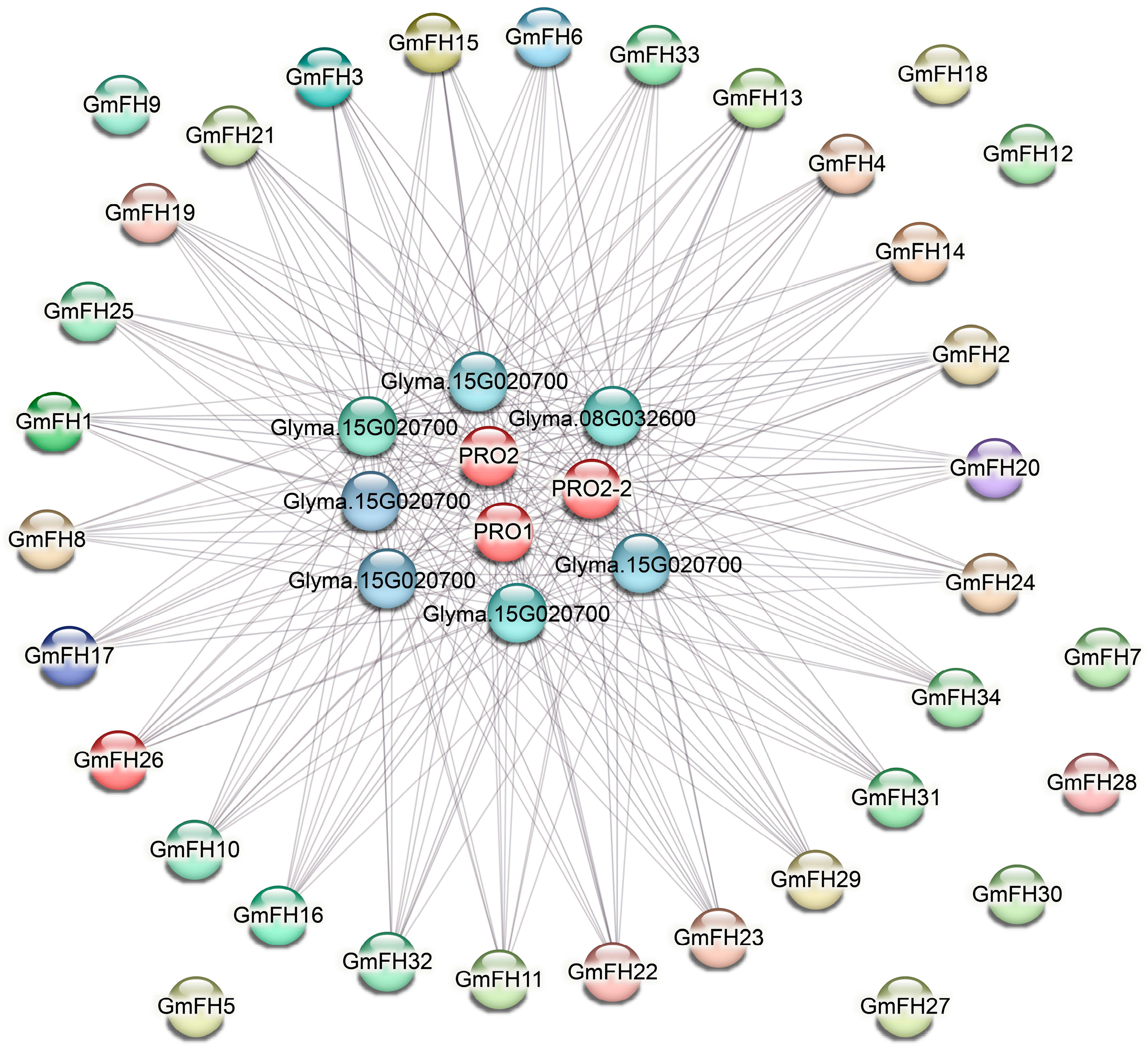 Plants 13 00276 g007
