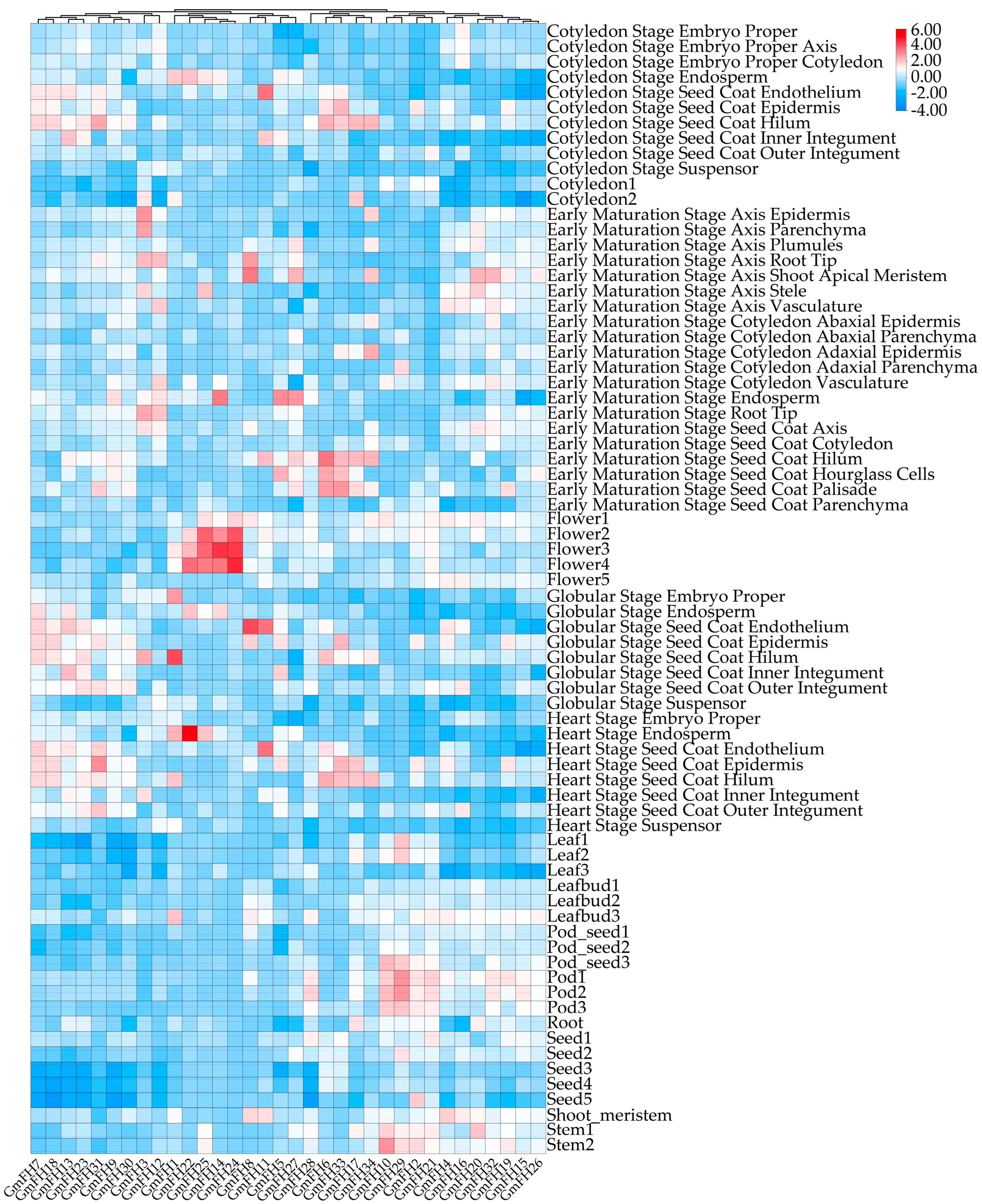 Plants 13 00276 g008