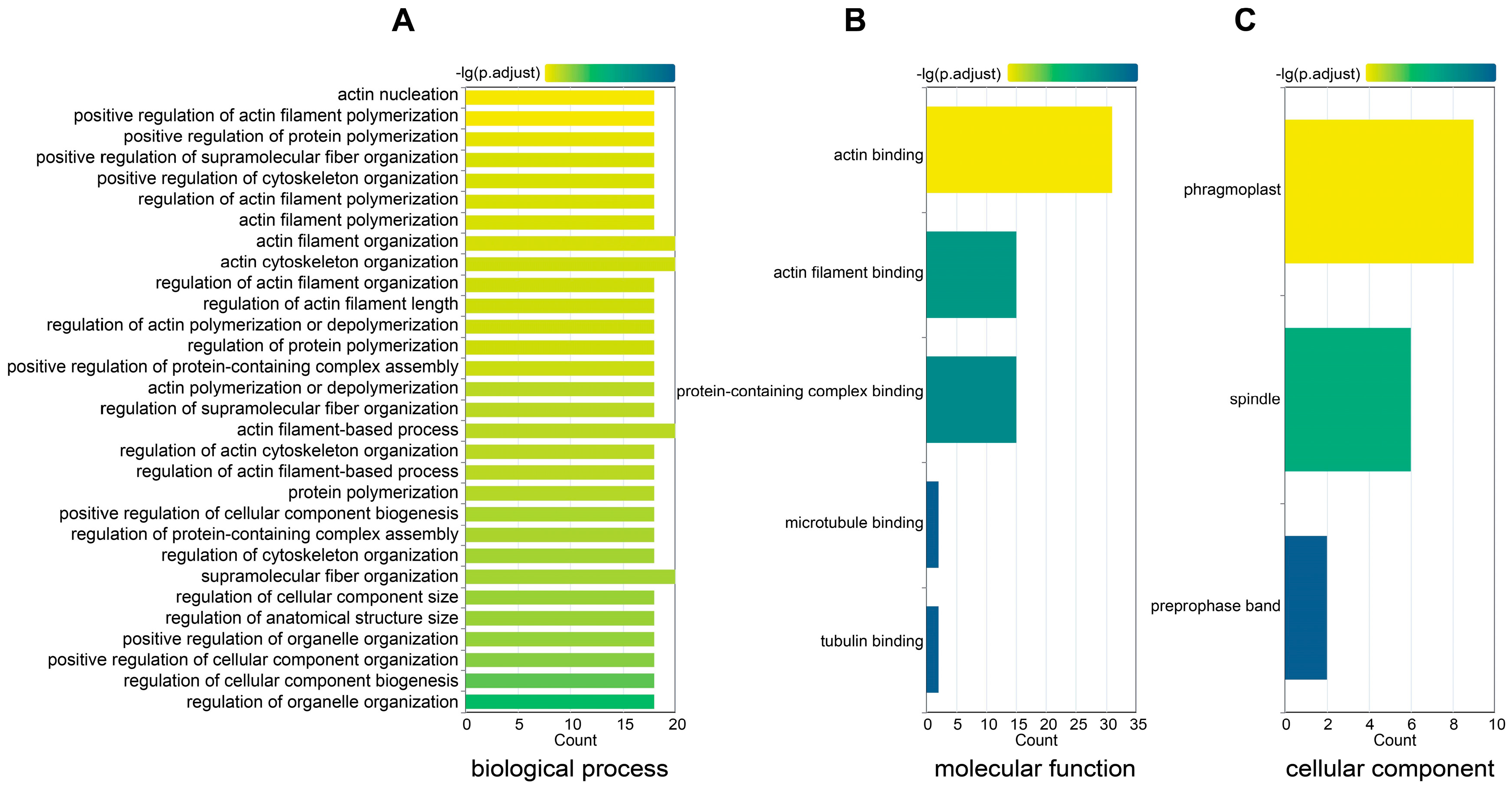 Plants 13 00276 g011