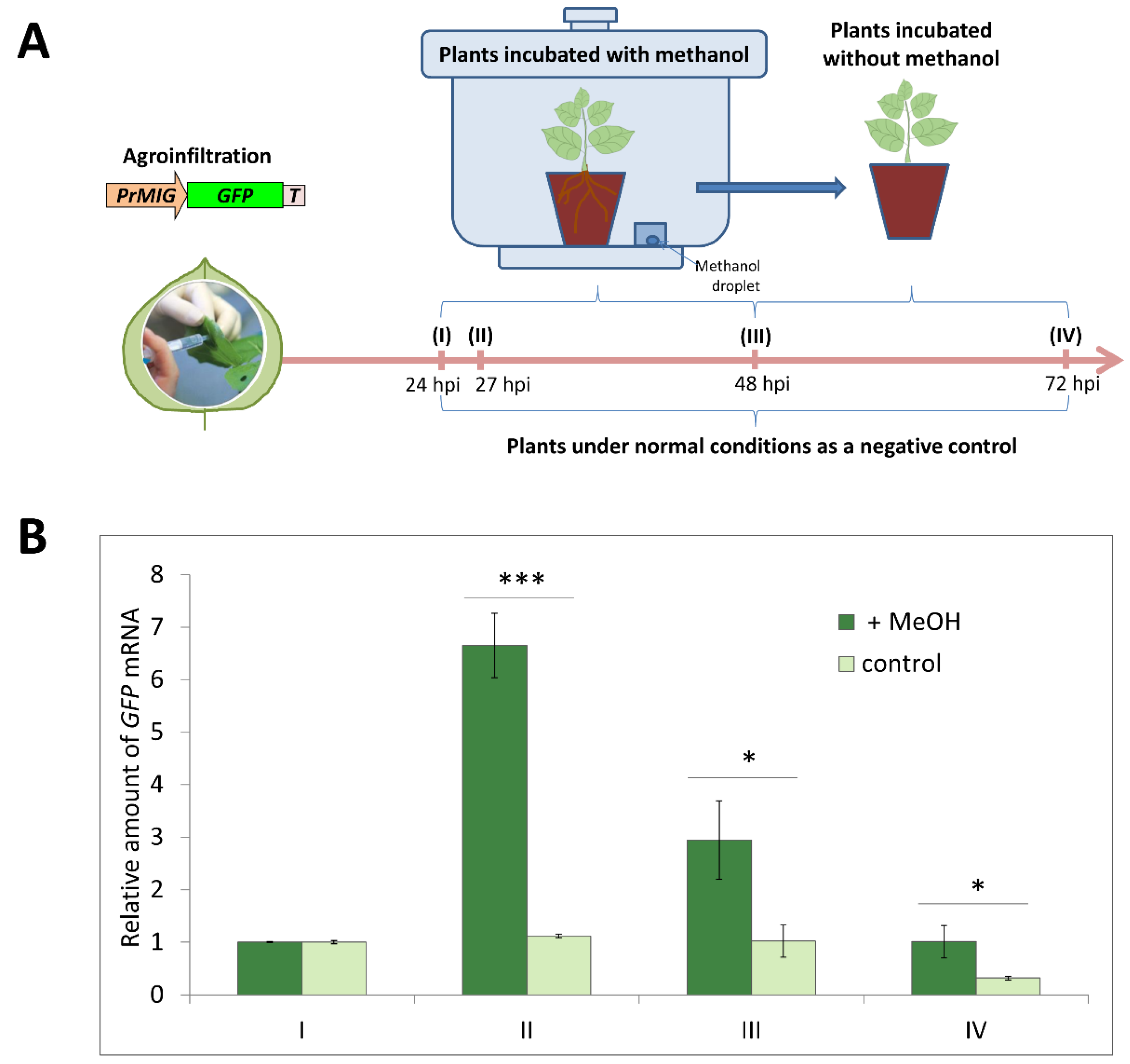 Plants 13 00279 g003