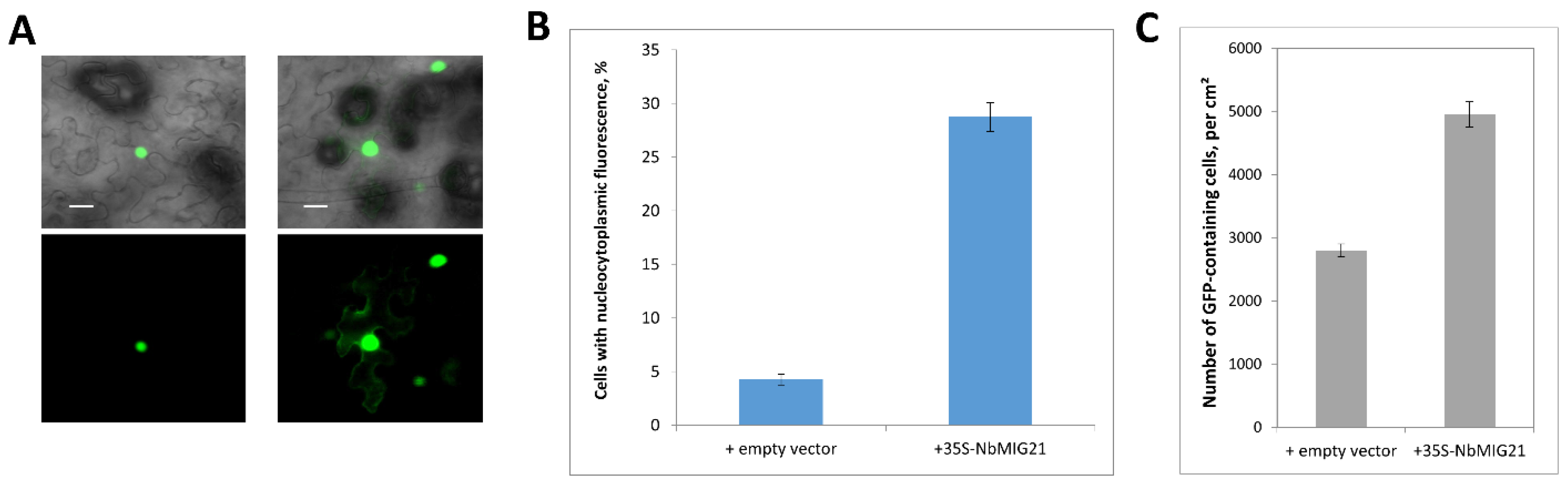 Plants 13 00279 g009