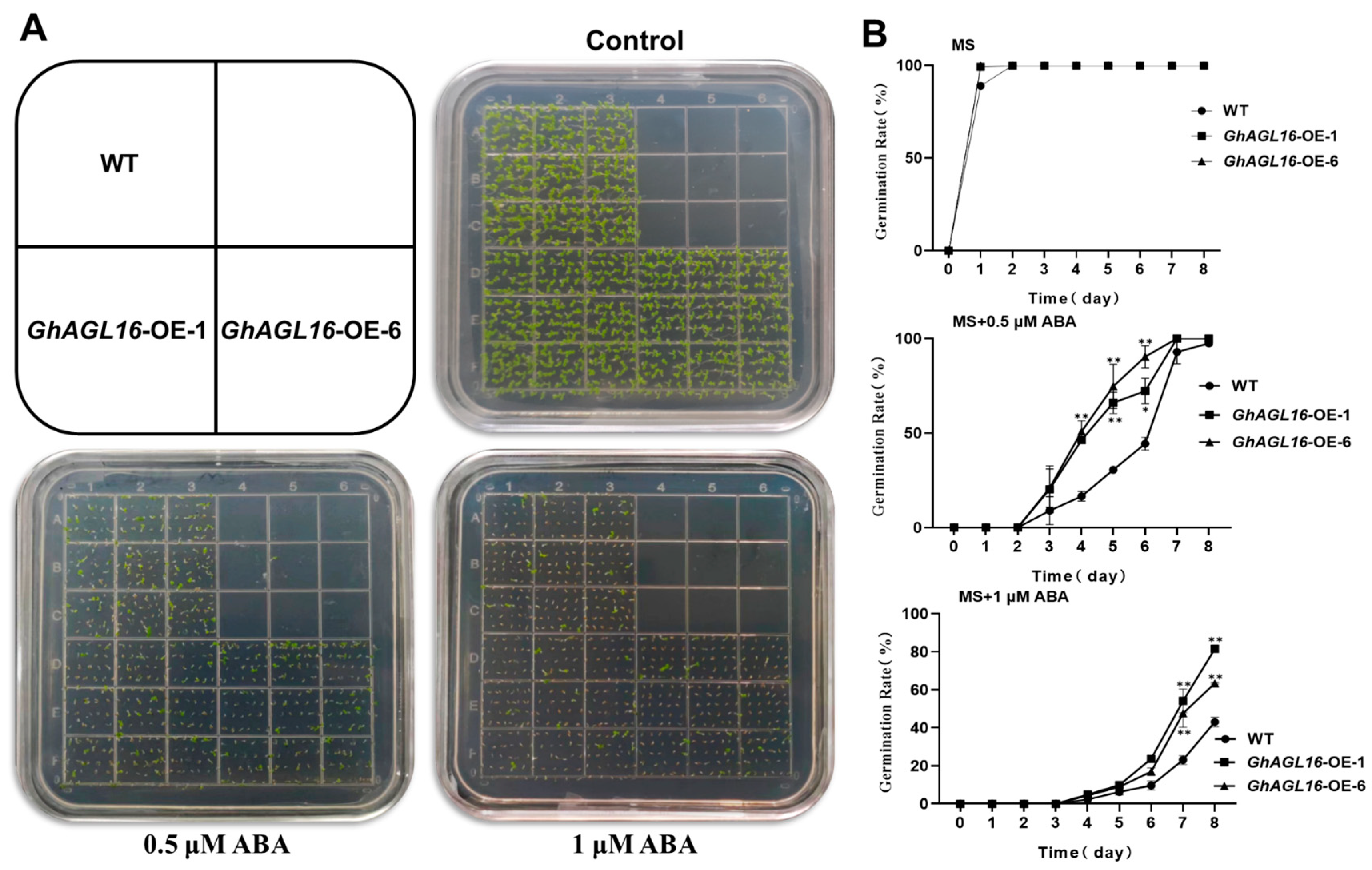 Plants 13 00282 g006