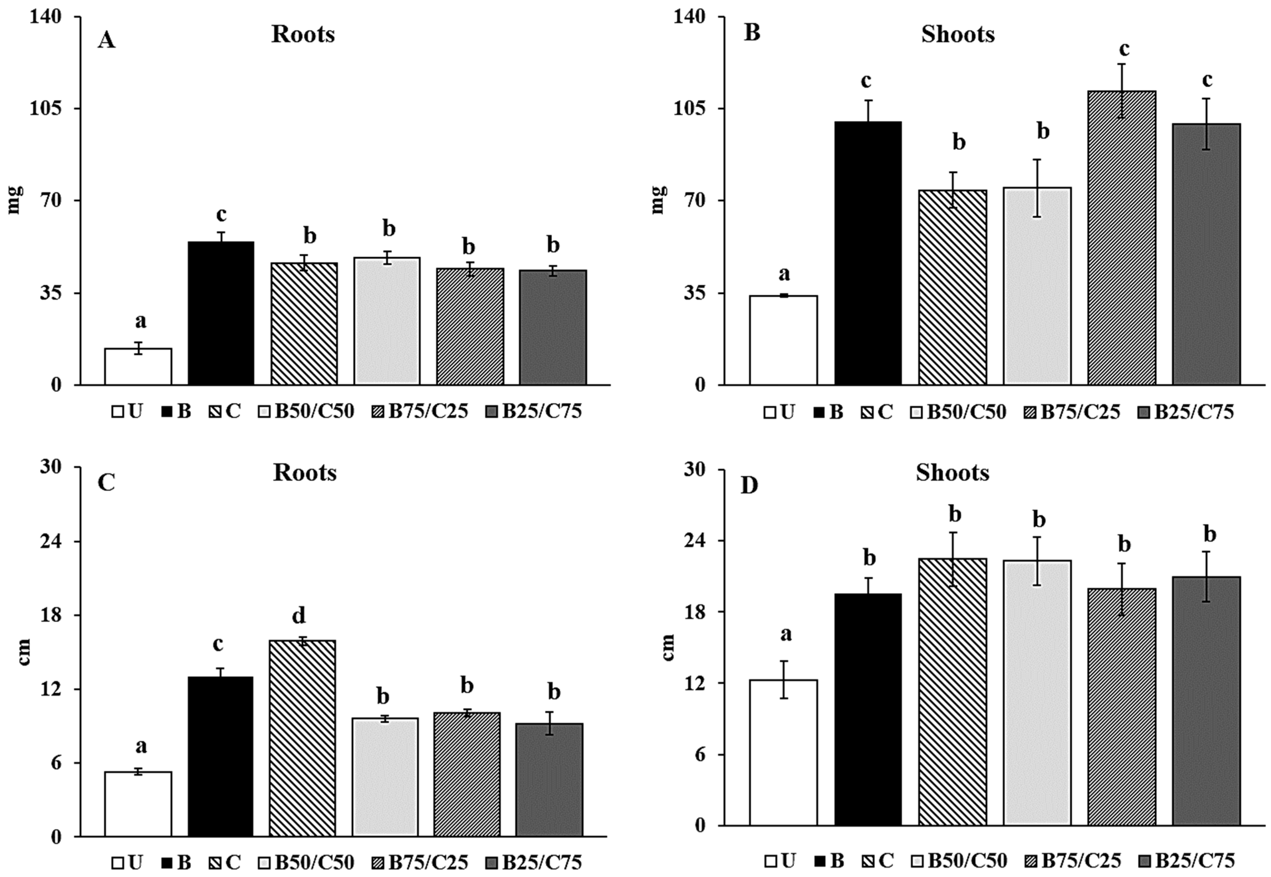 Plants 13 00284 g004