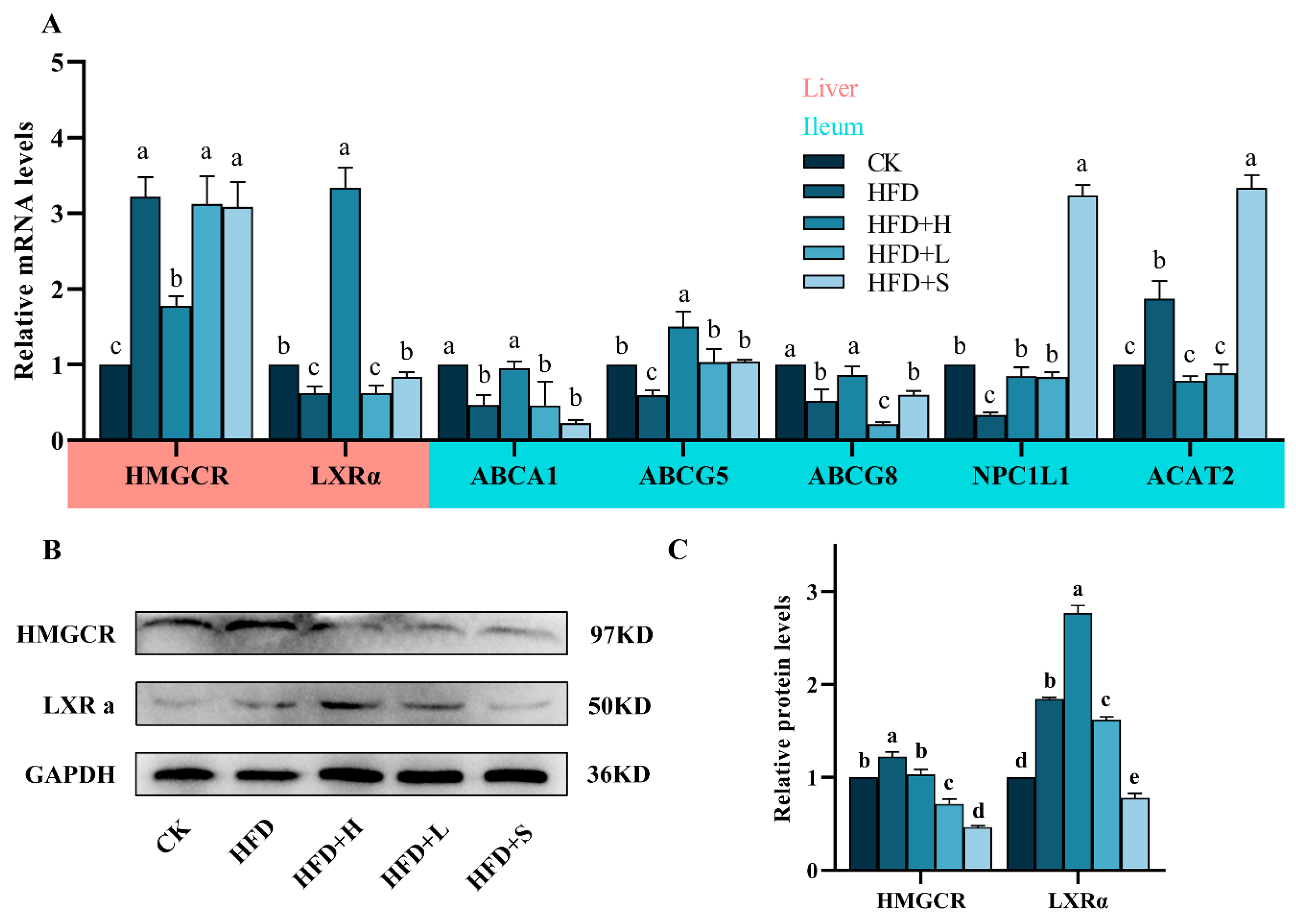 Plants 13 00288 g002