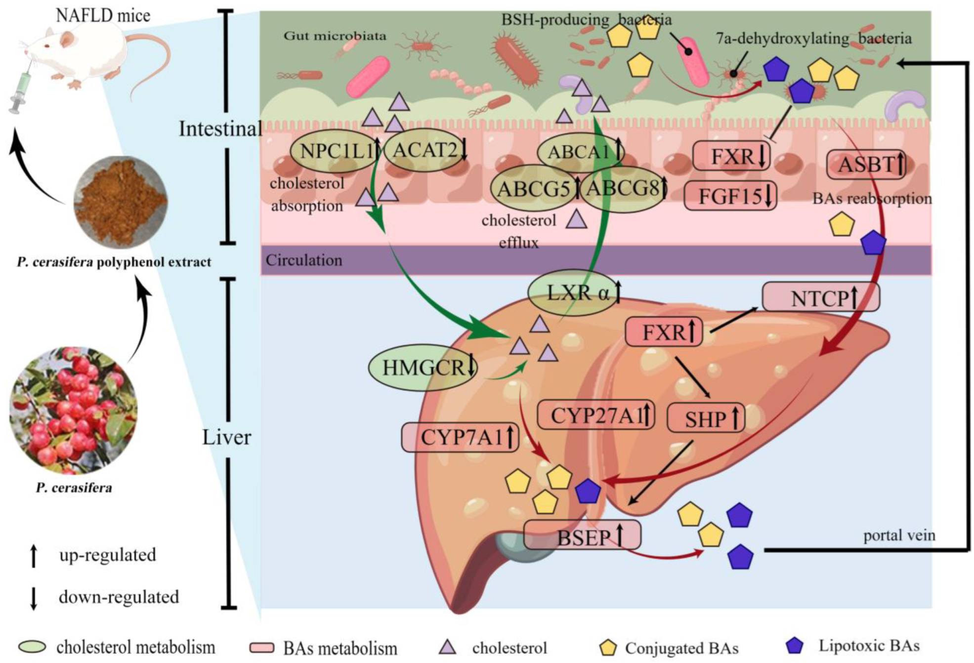 Plants 13 00288 g008