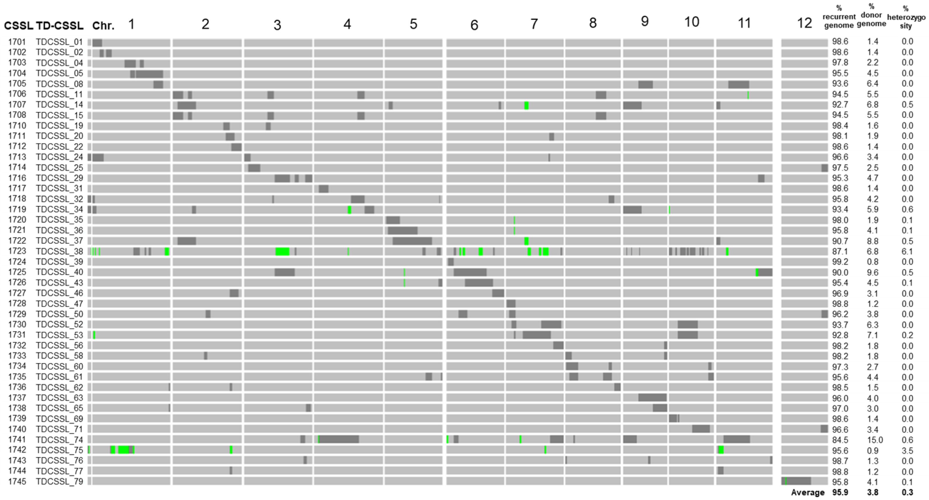 Plants 13 00289 g001