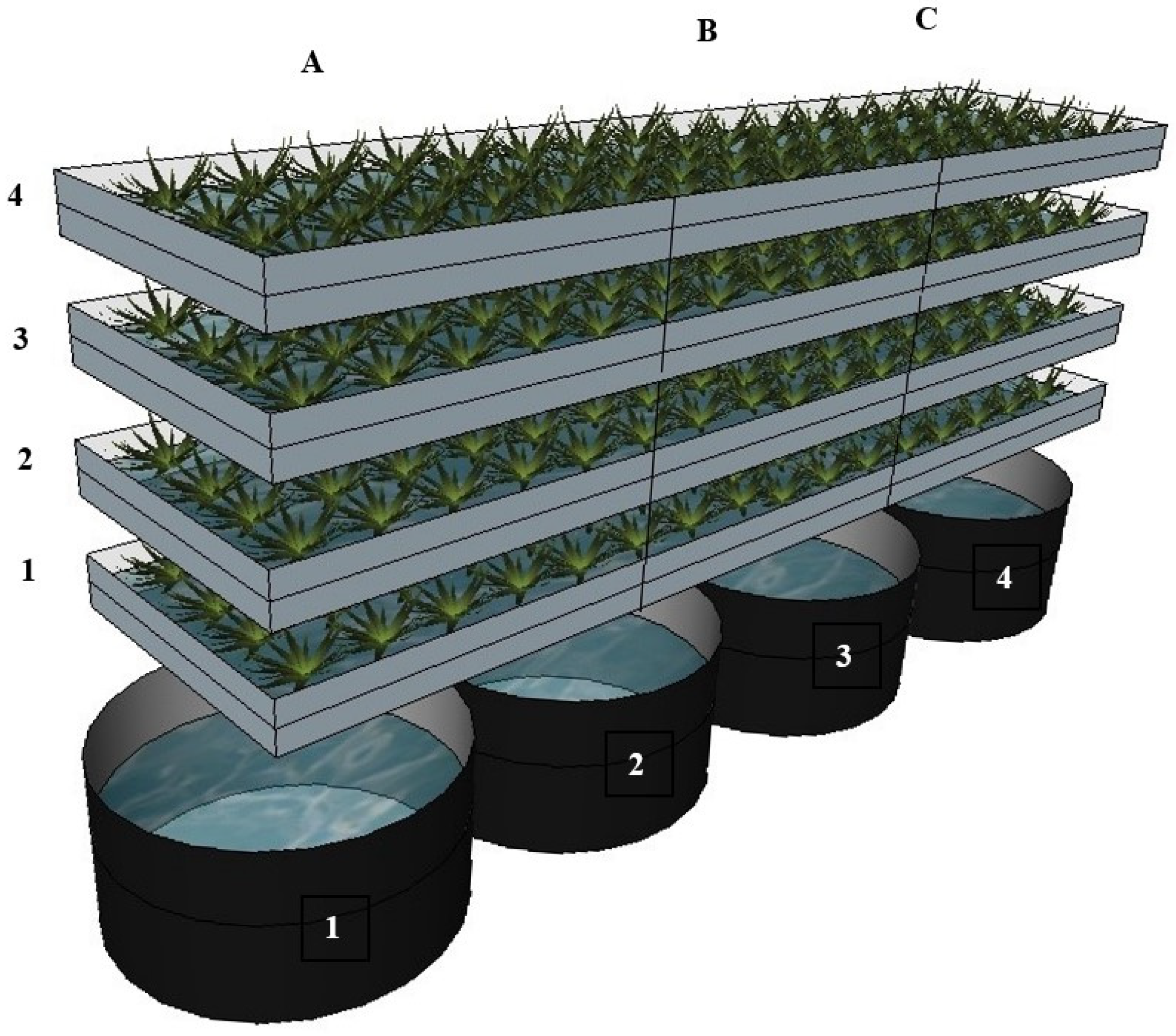 Plants 13 00291 g006