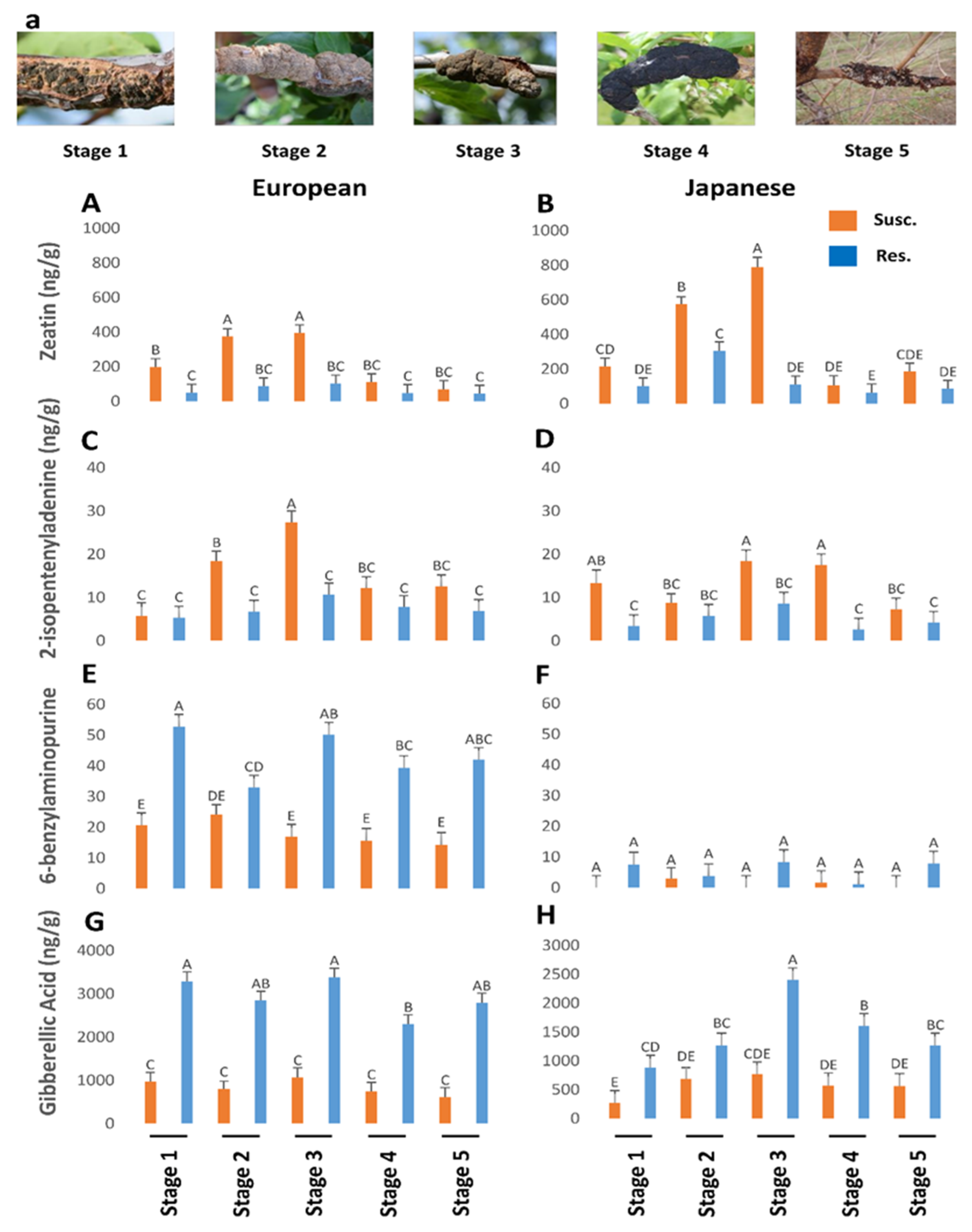 Plants 13 00292 g004