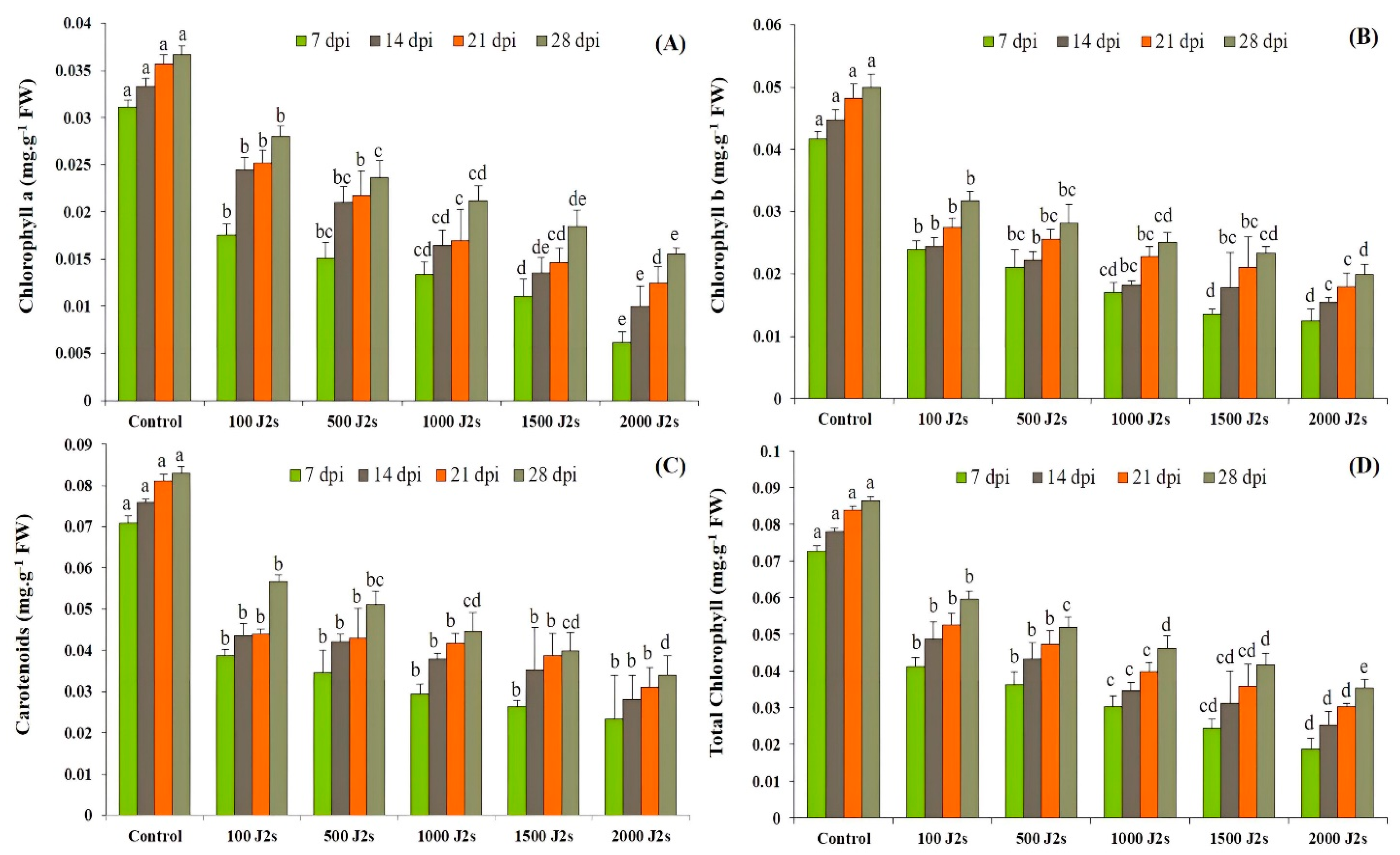 Plants 13 00293 g001