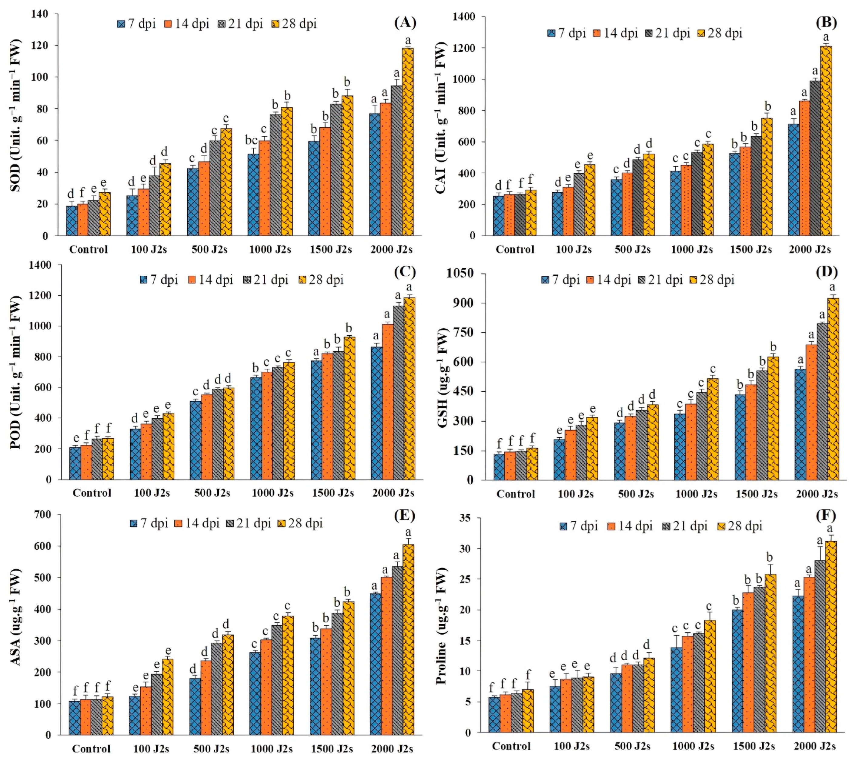 Plants 13 00293 g004