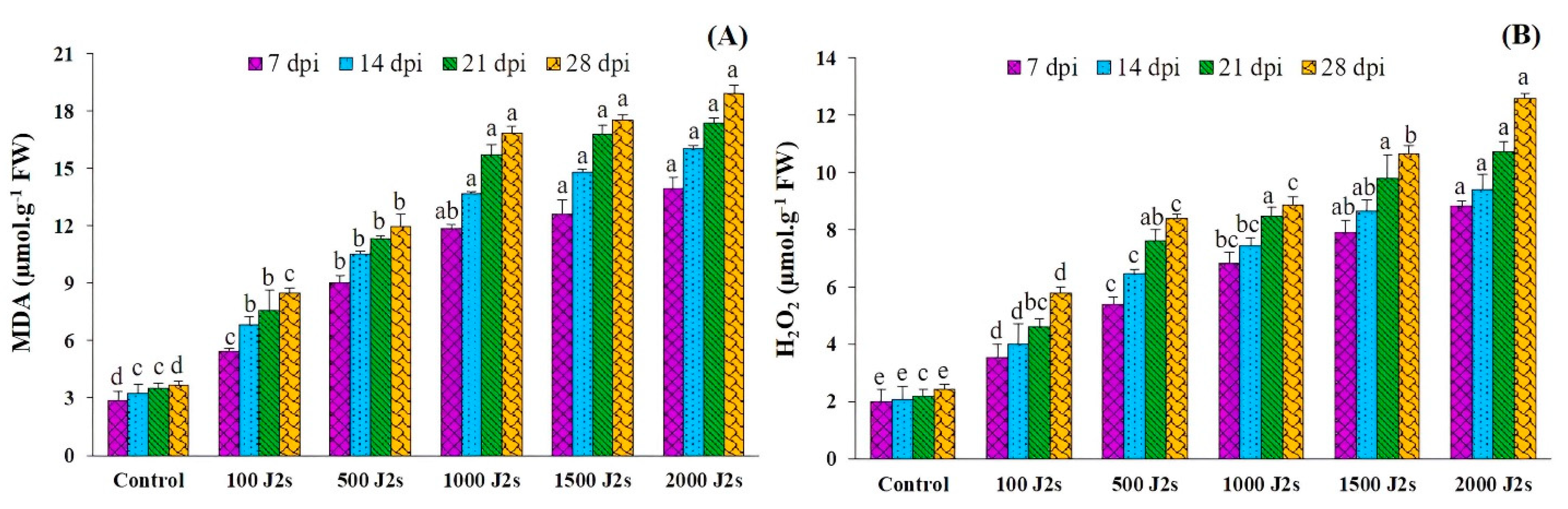 Plants 13 00293 g005