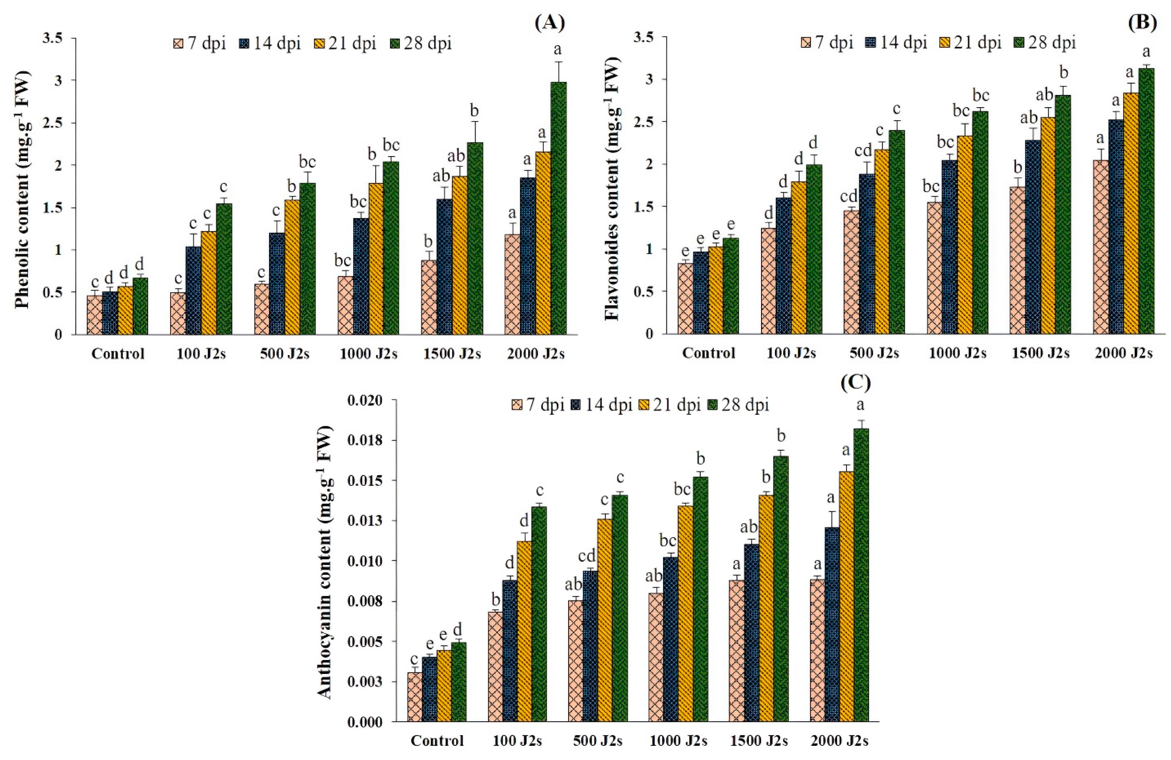Plants 13 00293 g006