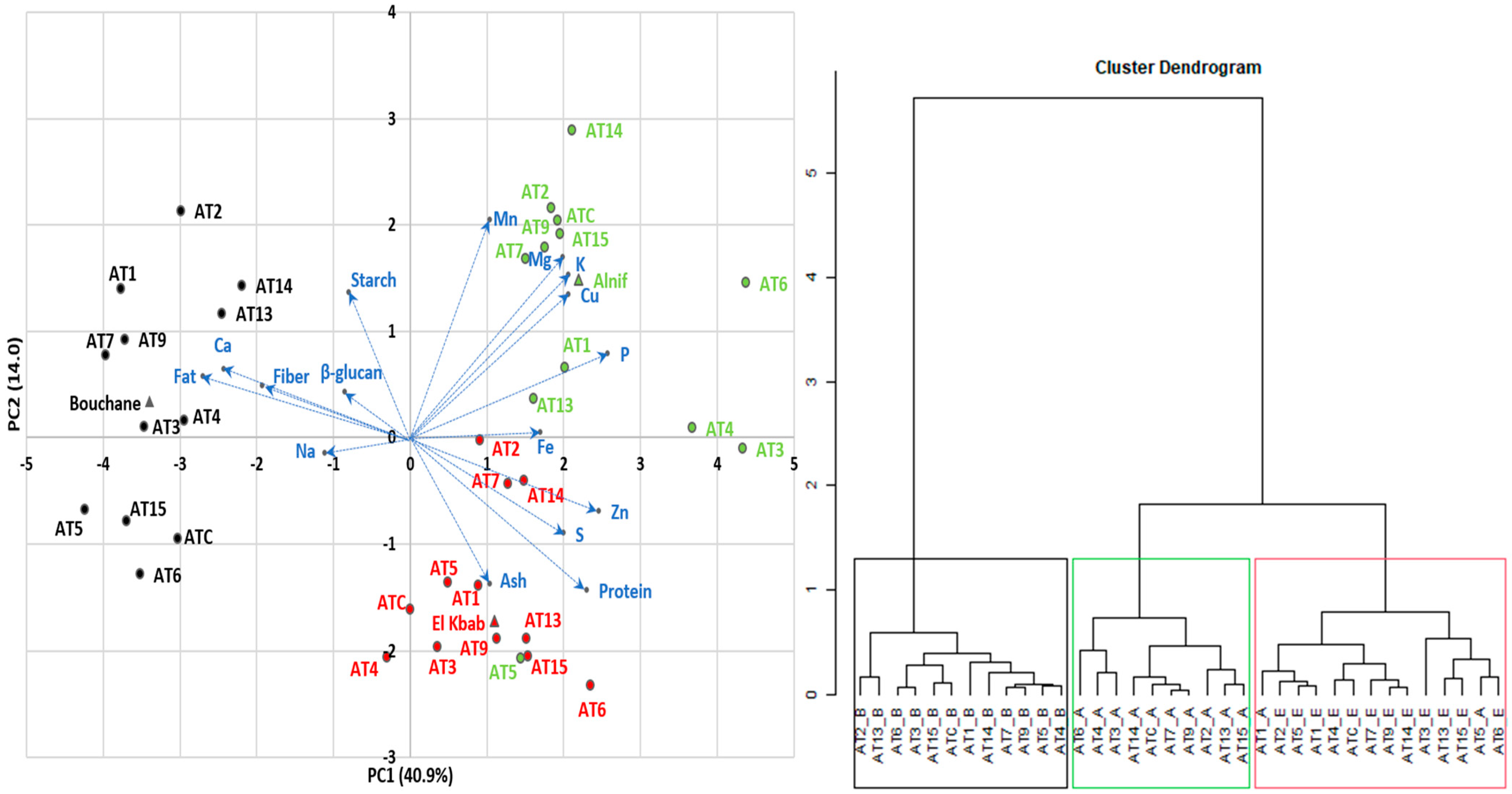 Plants 13 00294 g001