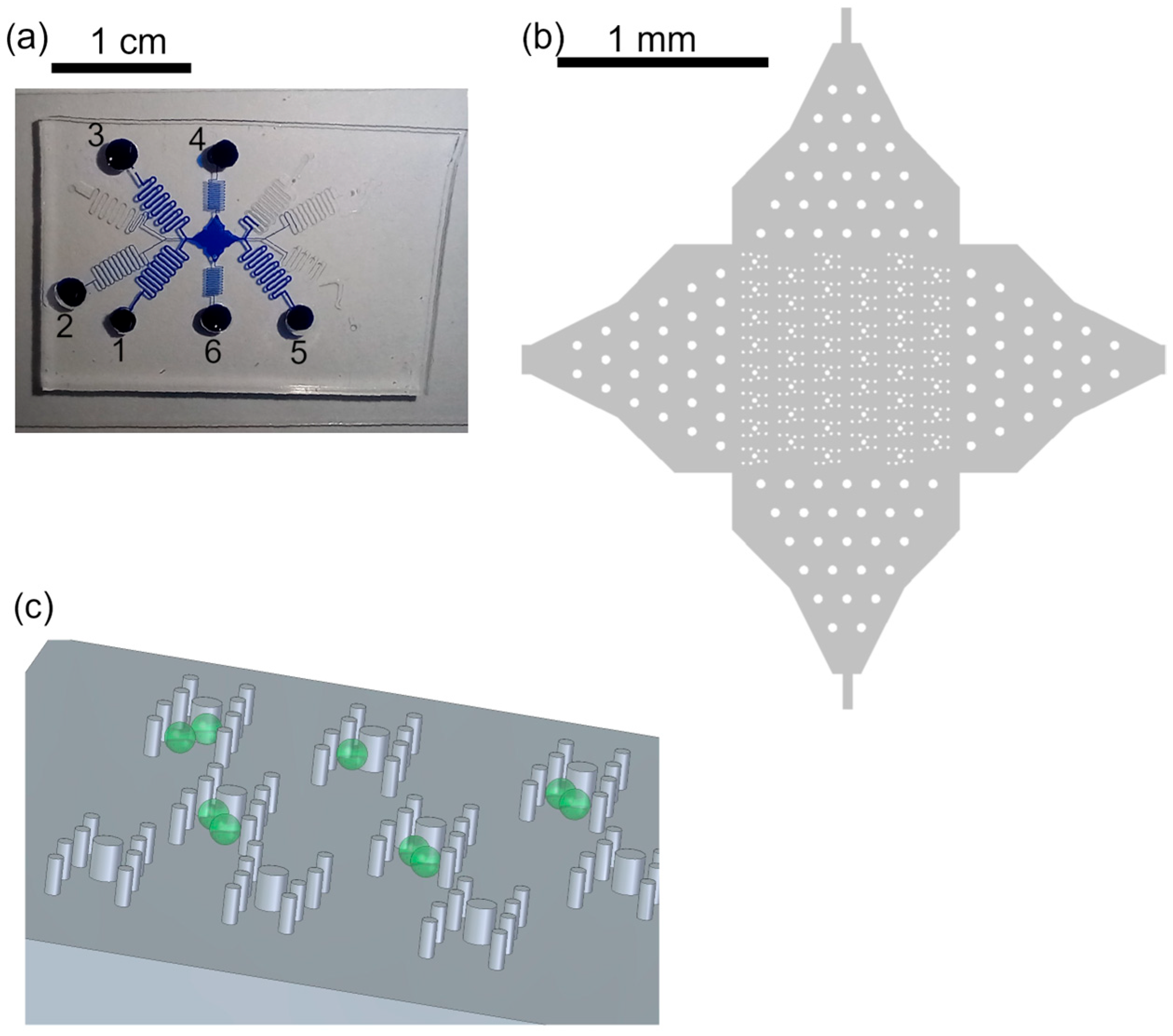 Plants 13 00295 g001 Plants 13 00295 g001