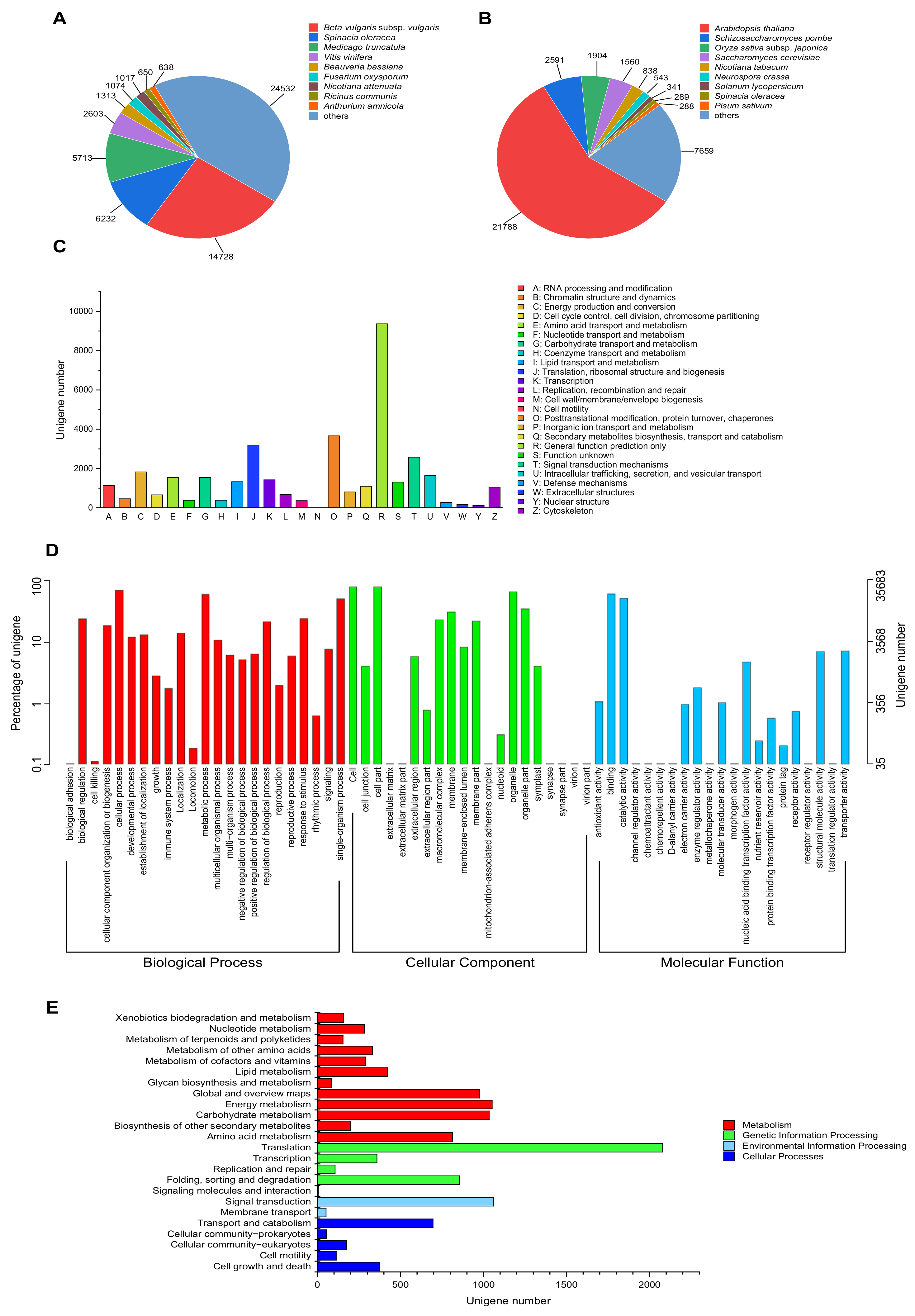 Plants 13 00297 g004