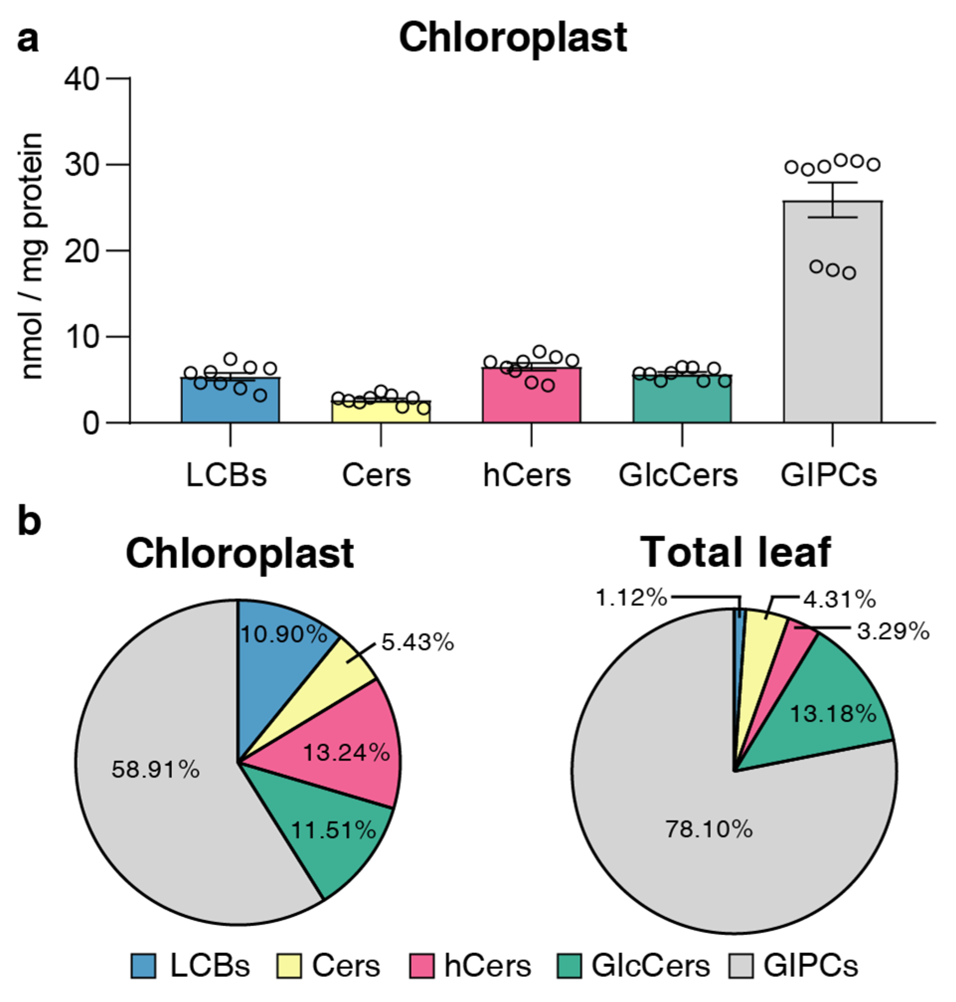 Plants 13 00299 g003
