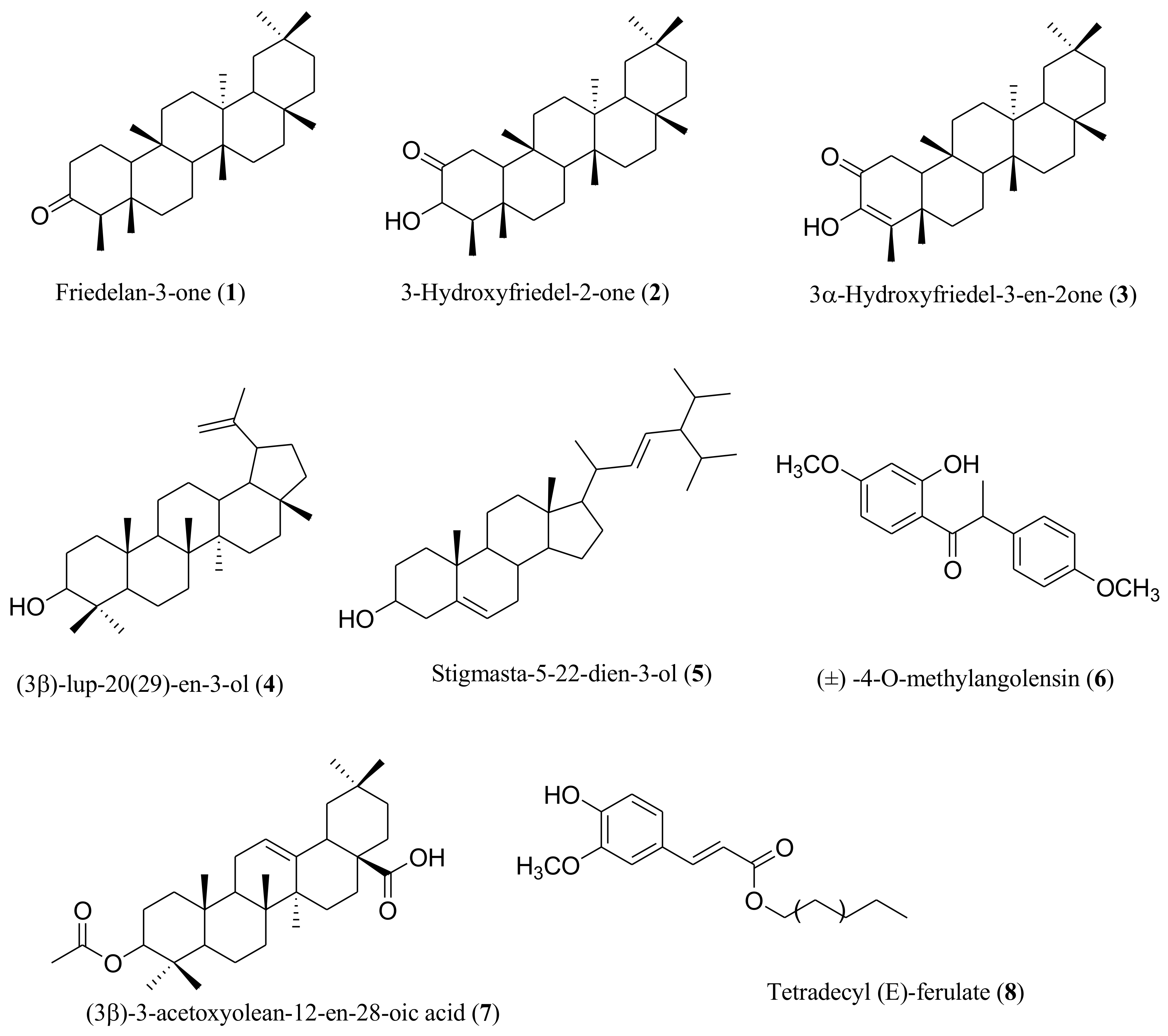 Plants 13 00301 g001
