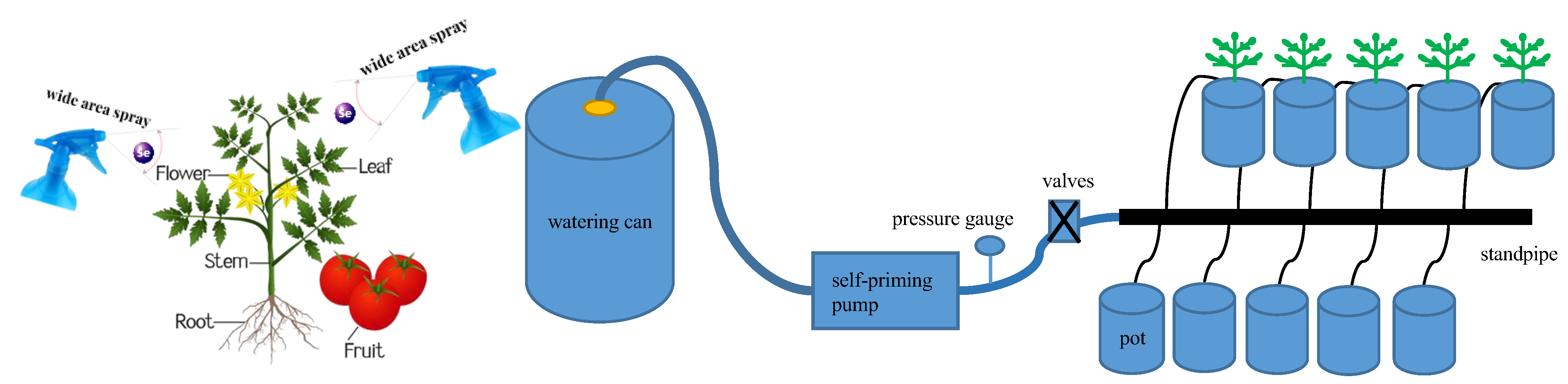 Plants 13 00302 g008