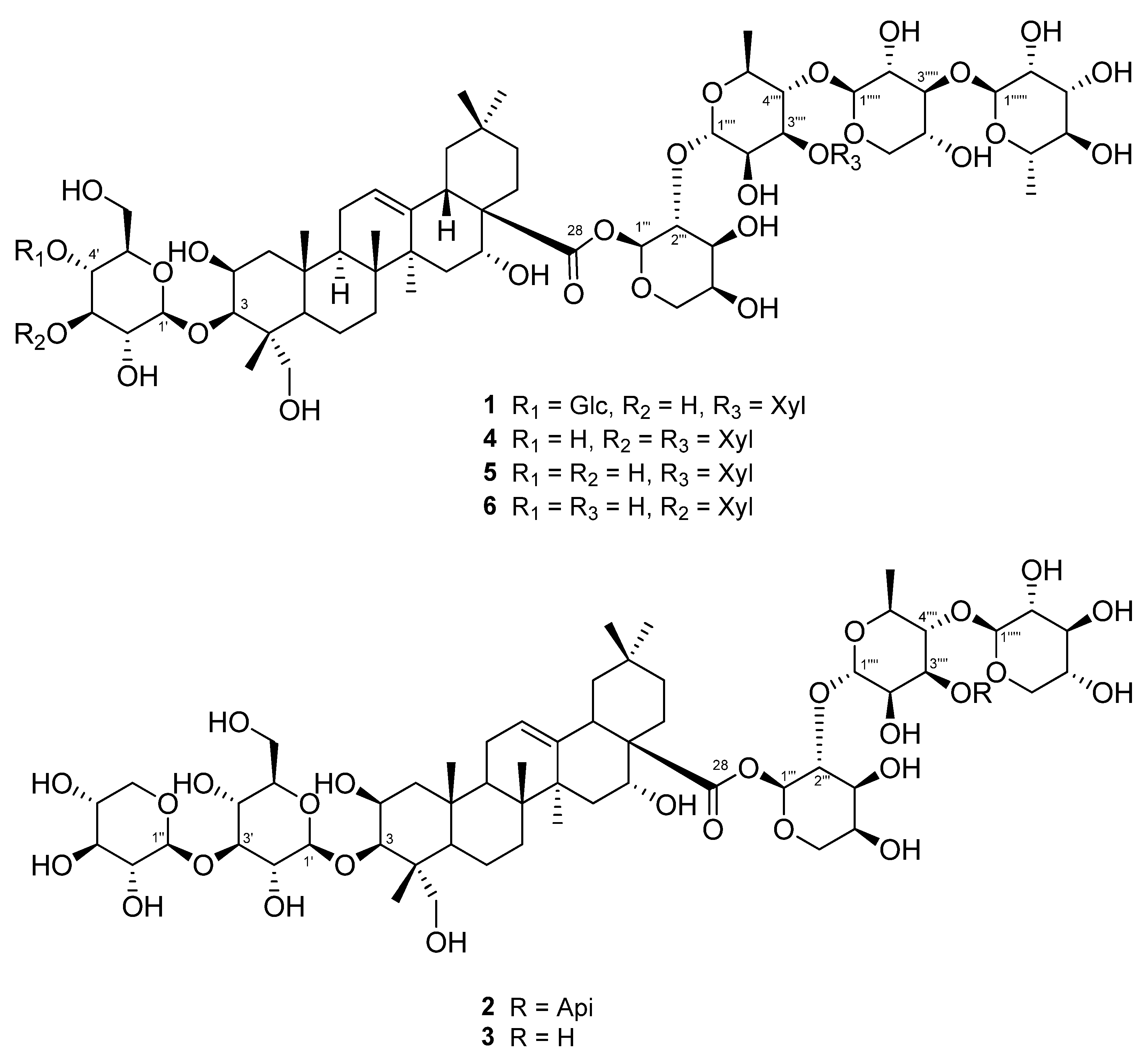 Plants 13 00303 g001