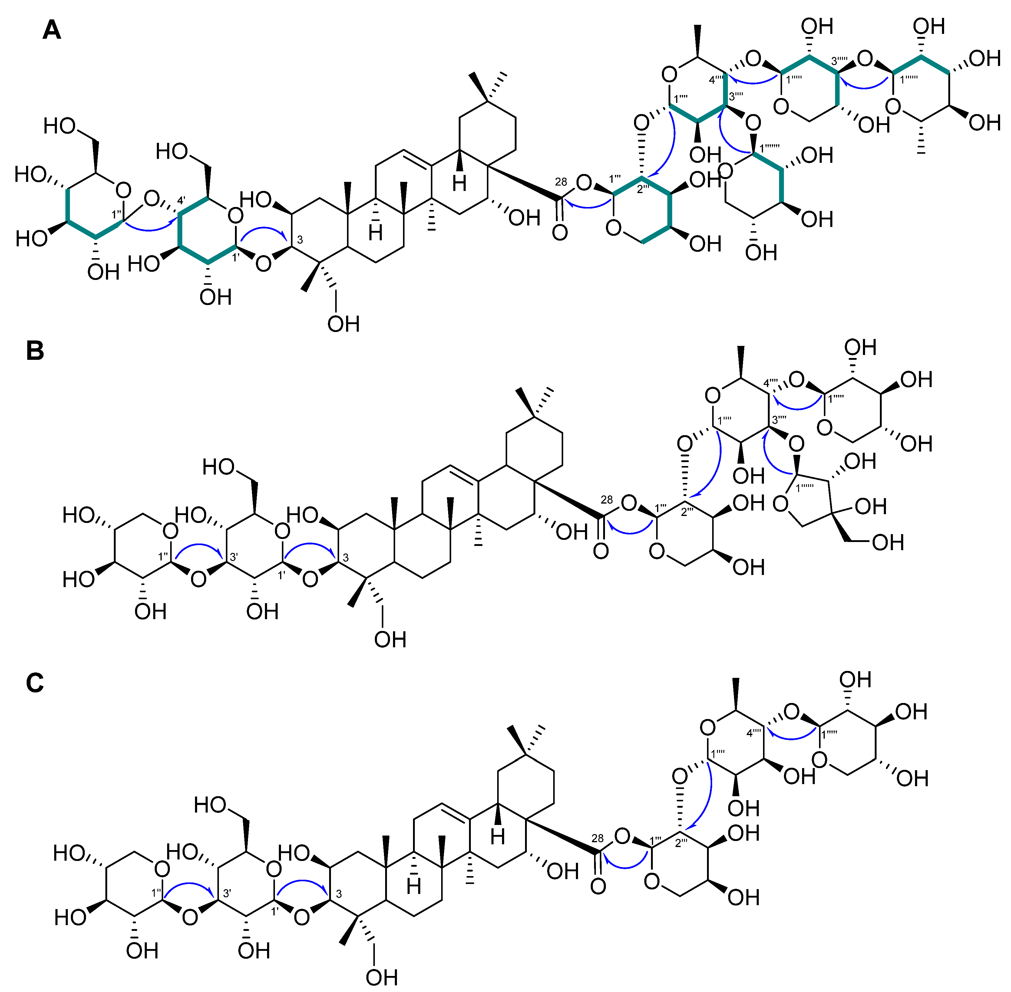 Plants 13 00303 g002