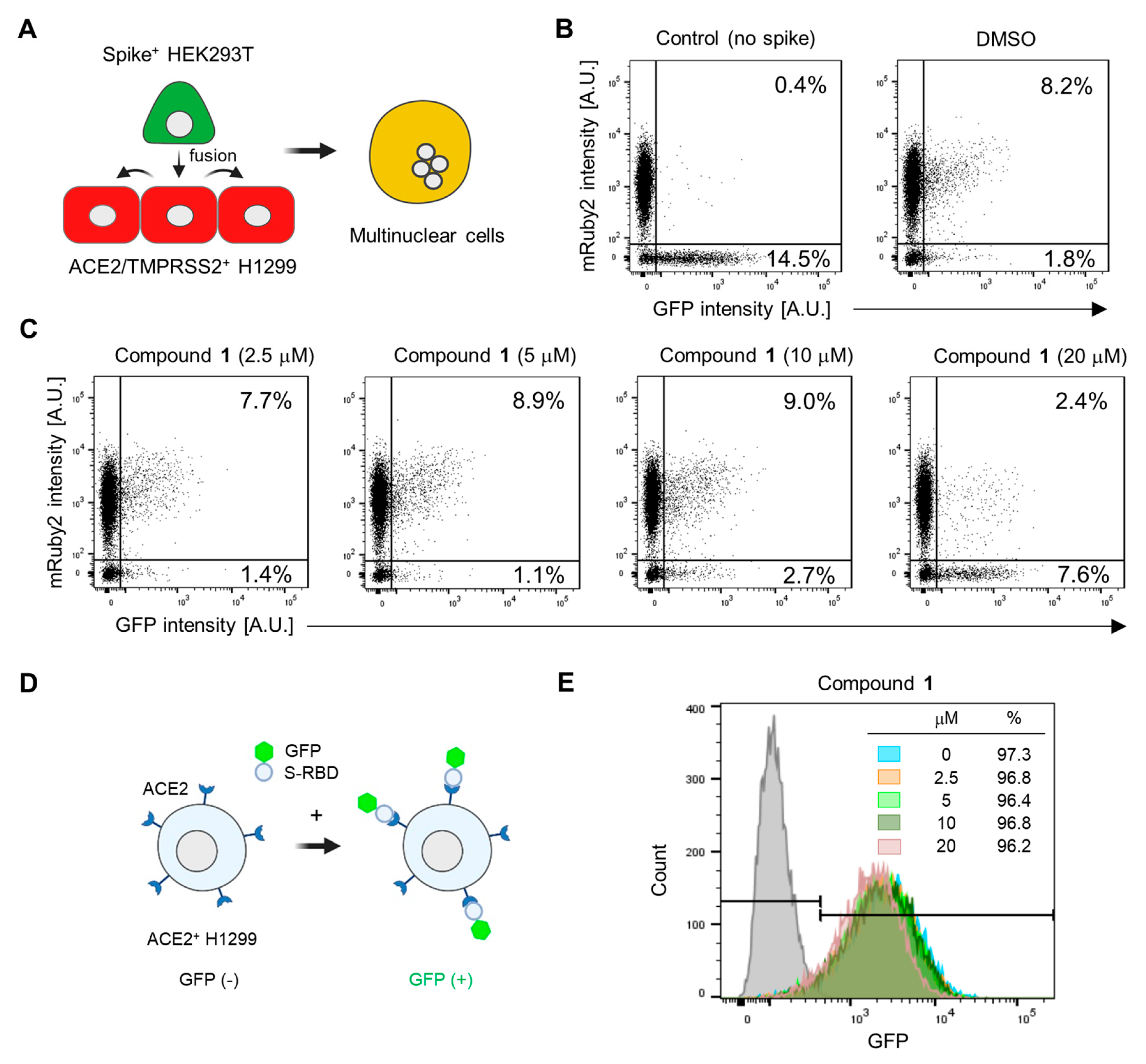 Plants 13 00303 g004