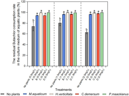Plants 13 00304 g0a1