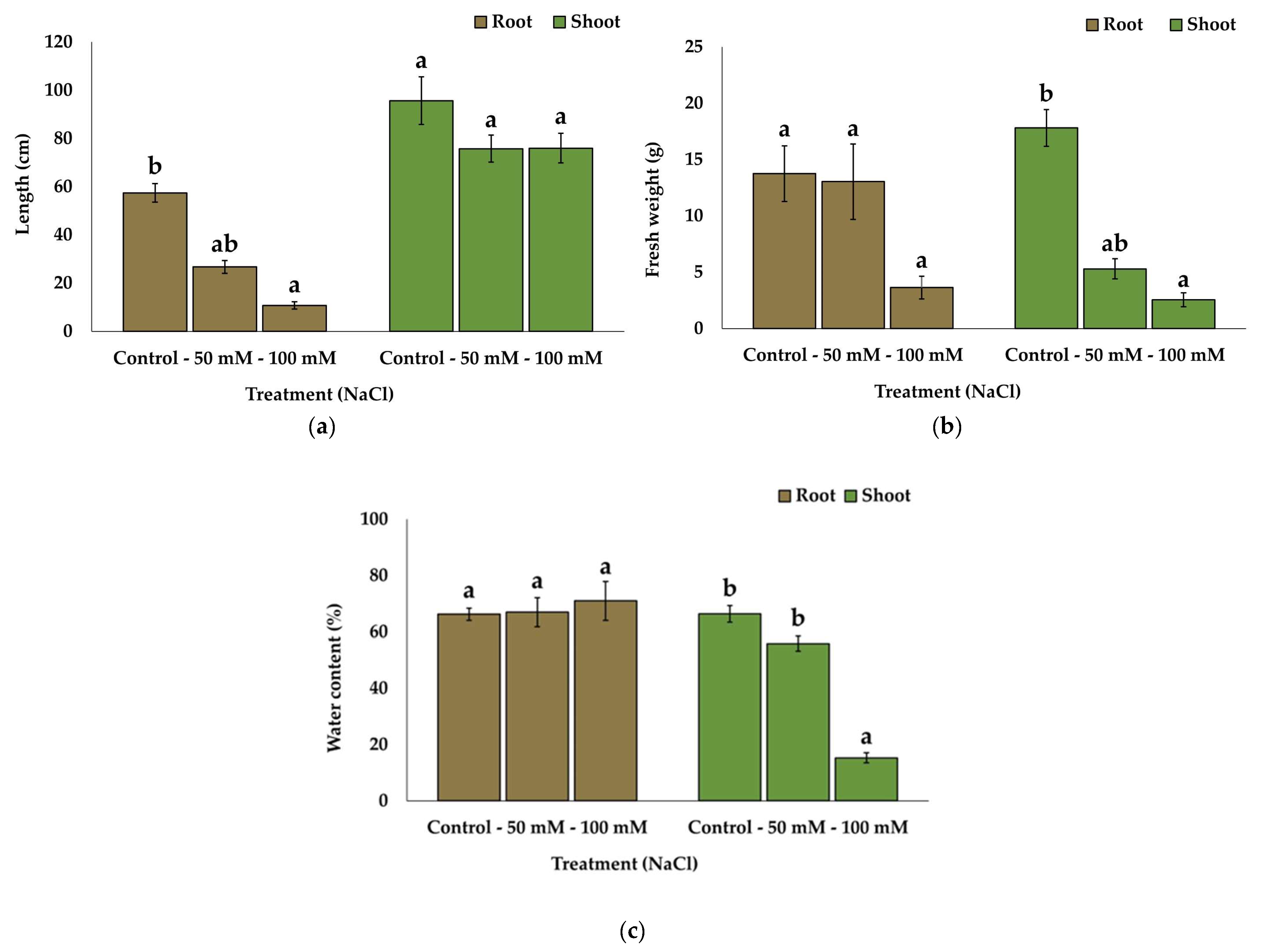 Plants 13 00305 g001