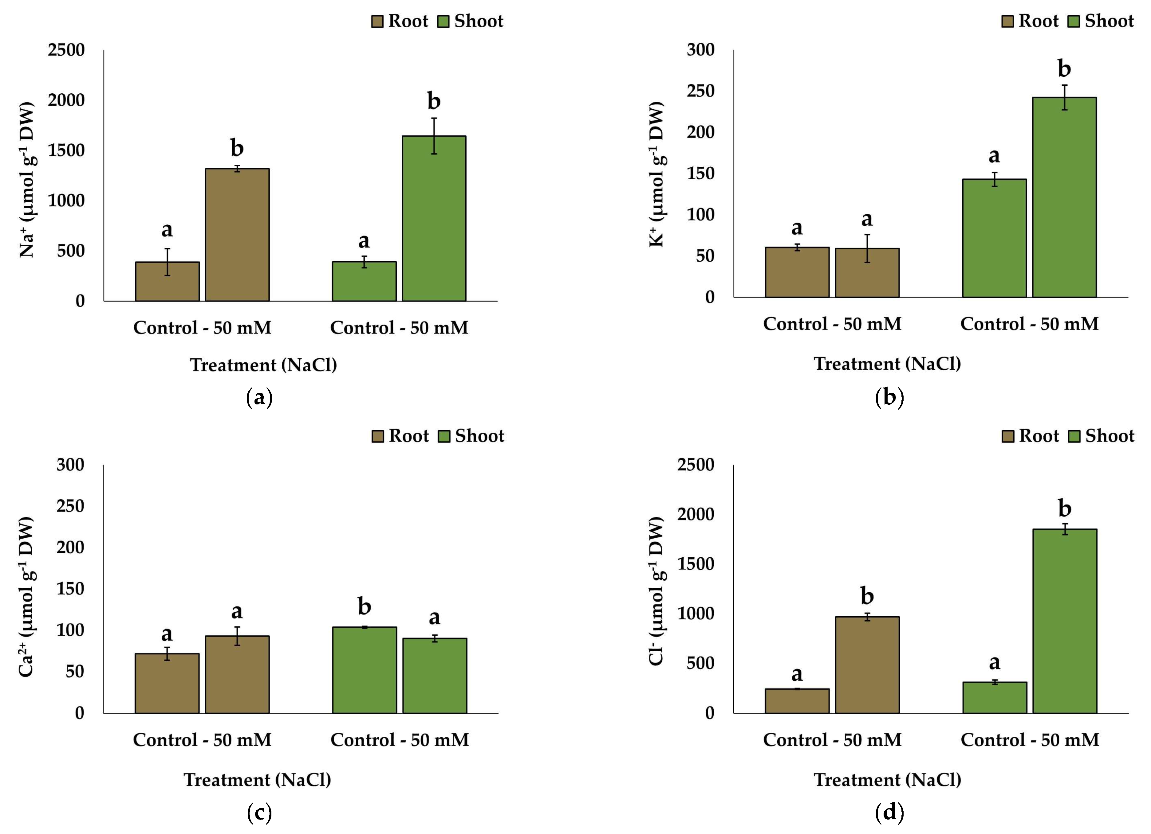 Plants 13 00305 g005