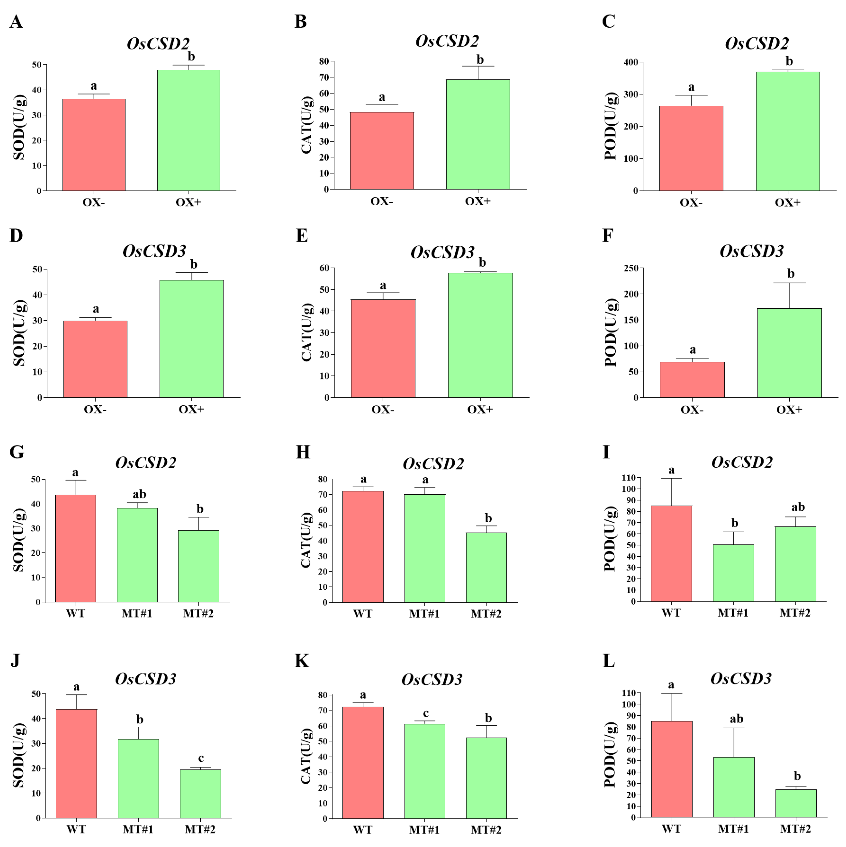 Plants 13 00310 g007