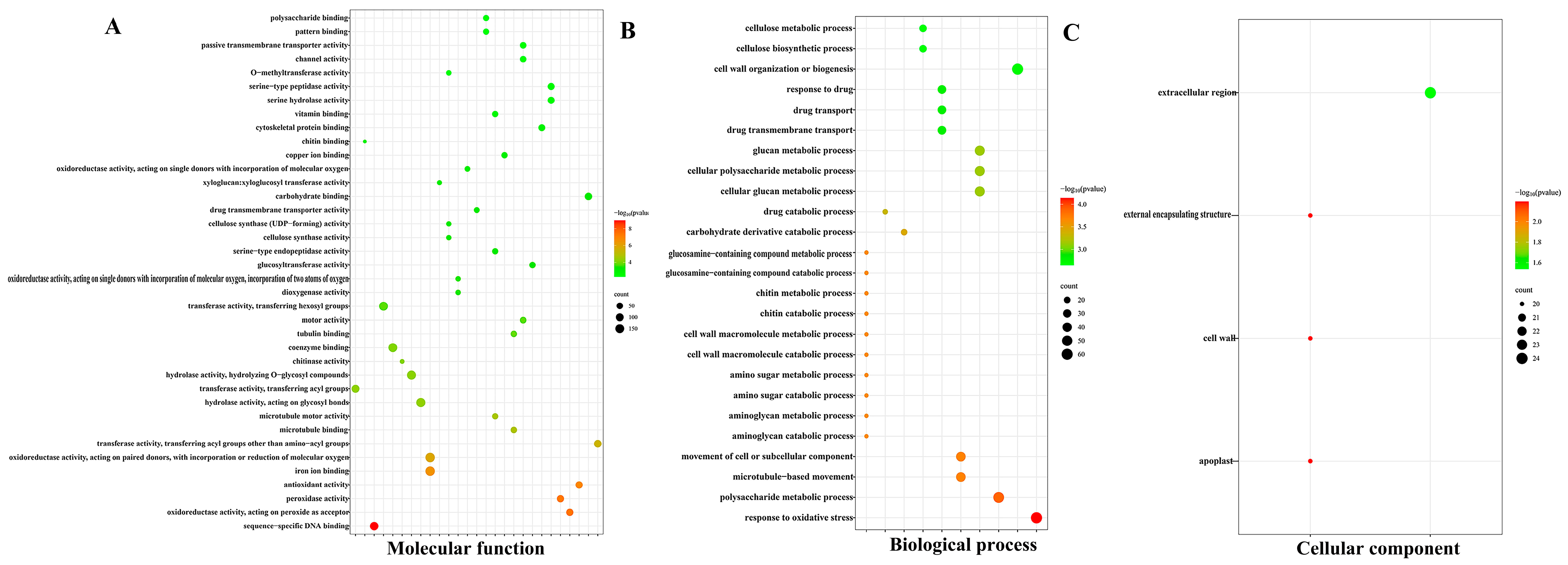Plants 13 00312 g005