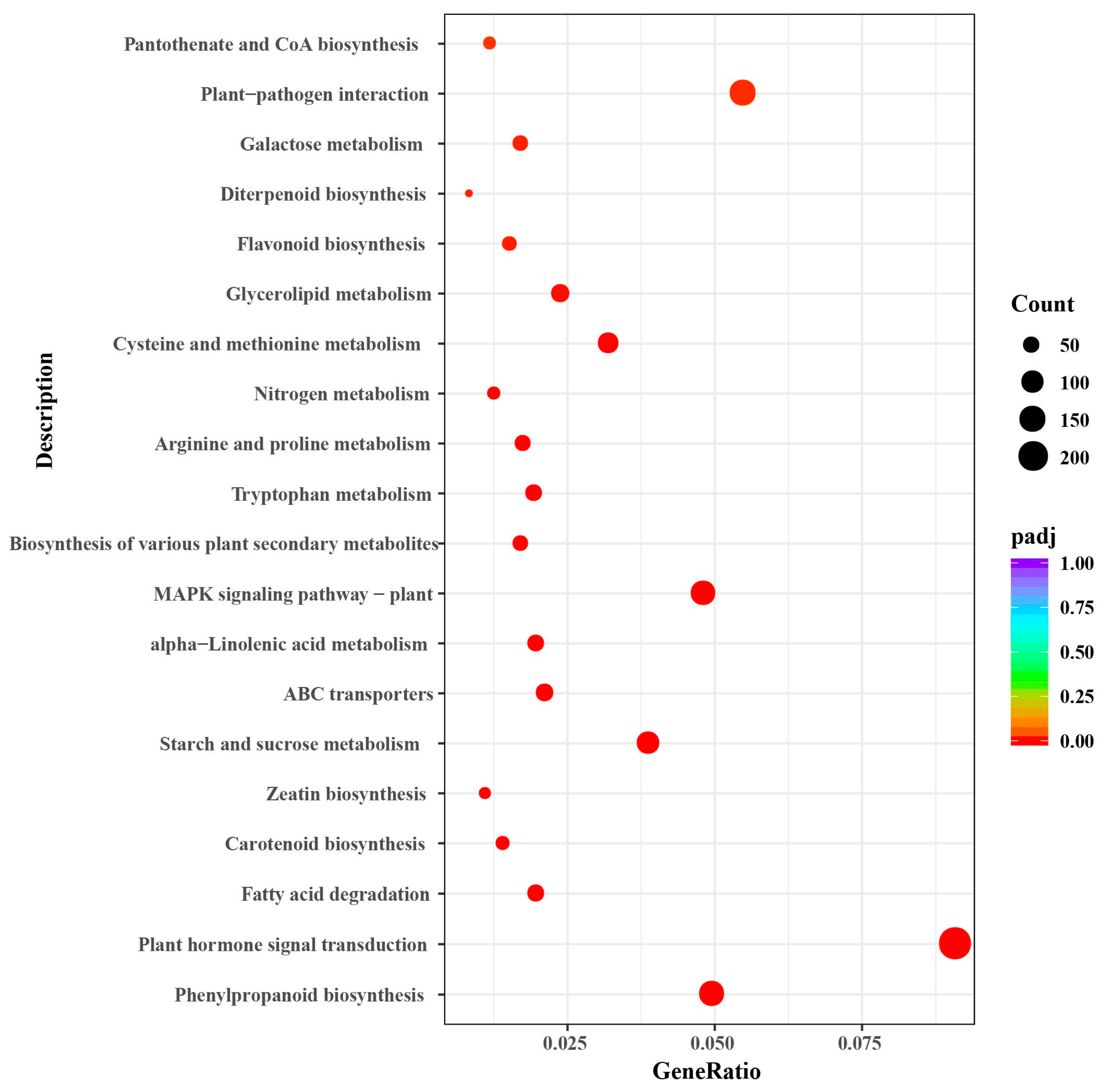 Plants 13 00312 g007